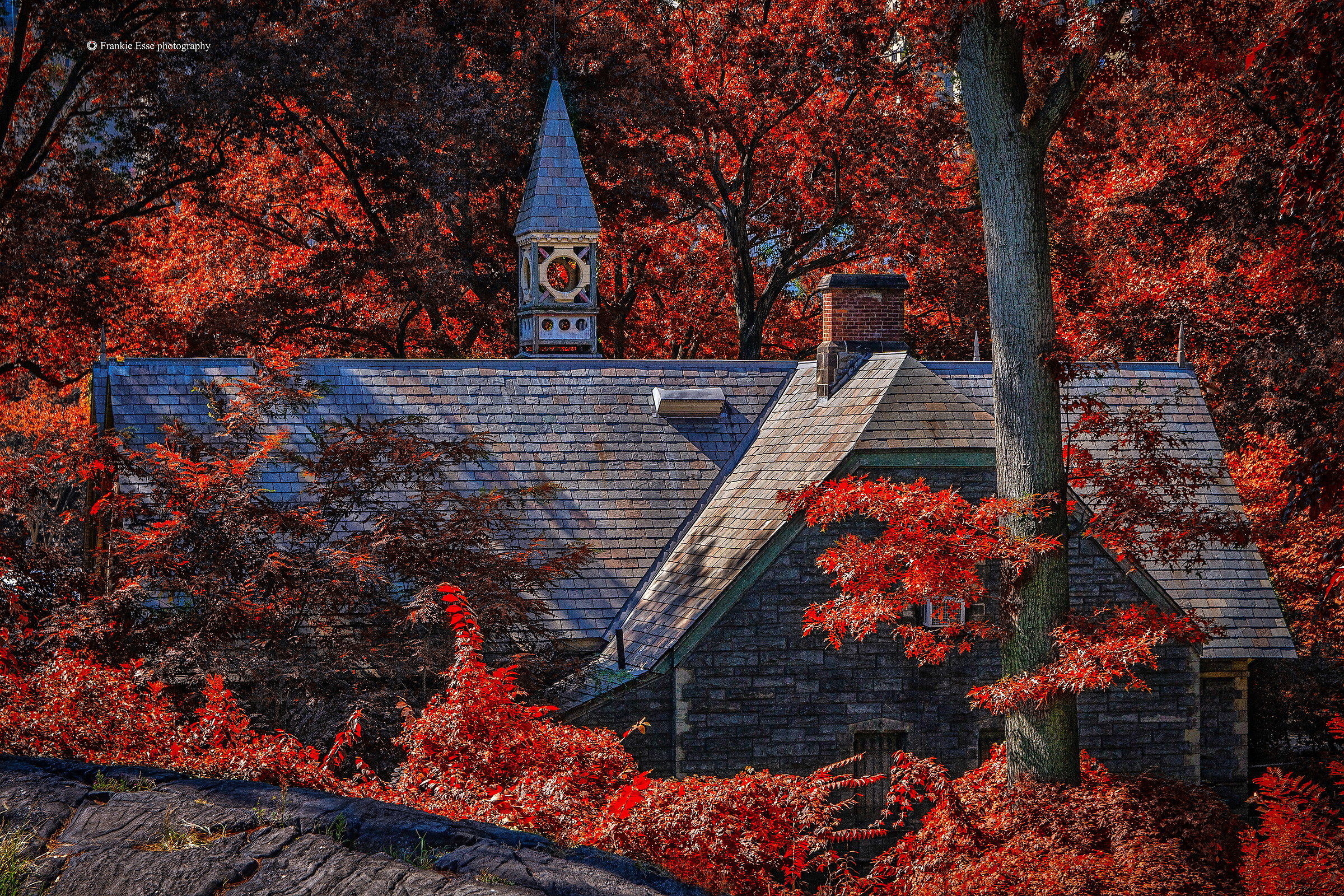 Full immersion in Central Park - New York