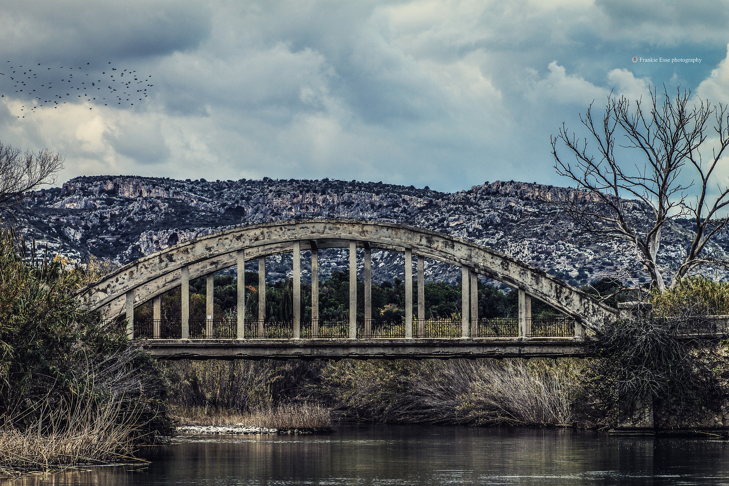 Bridge of the Marchesa - Fiume Cassibile (sr)