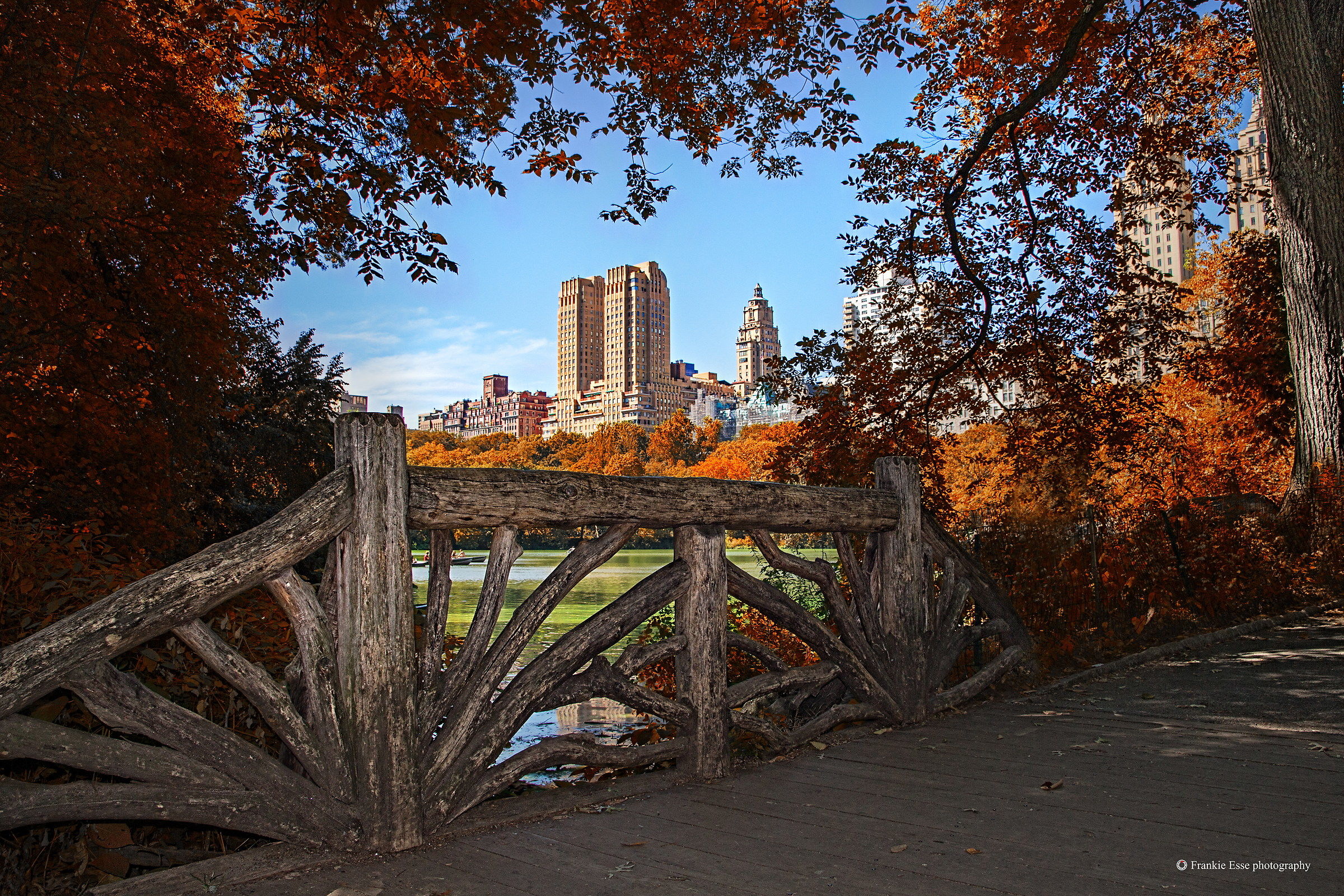 Autumn in Central Park - New York