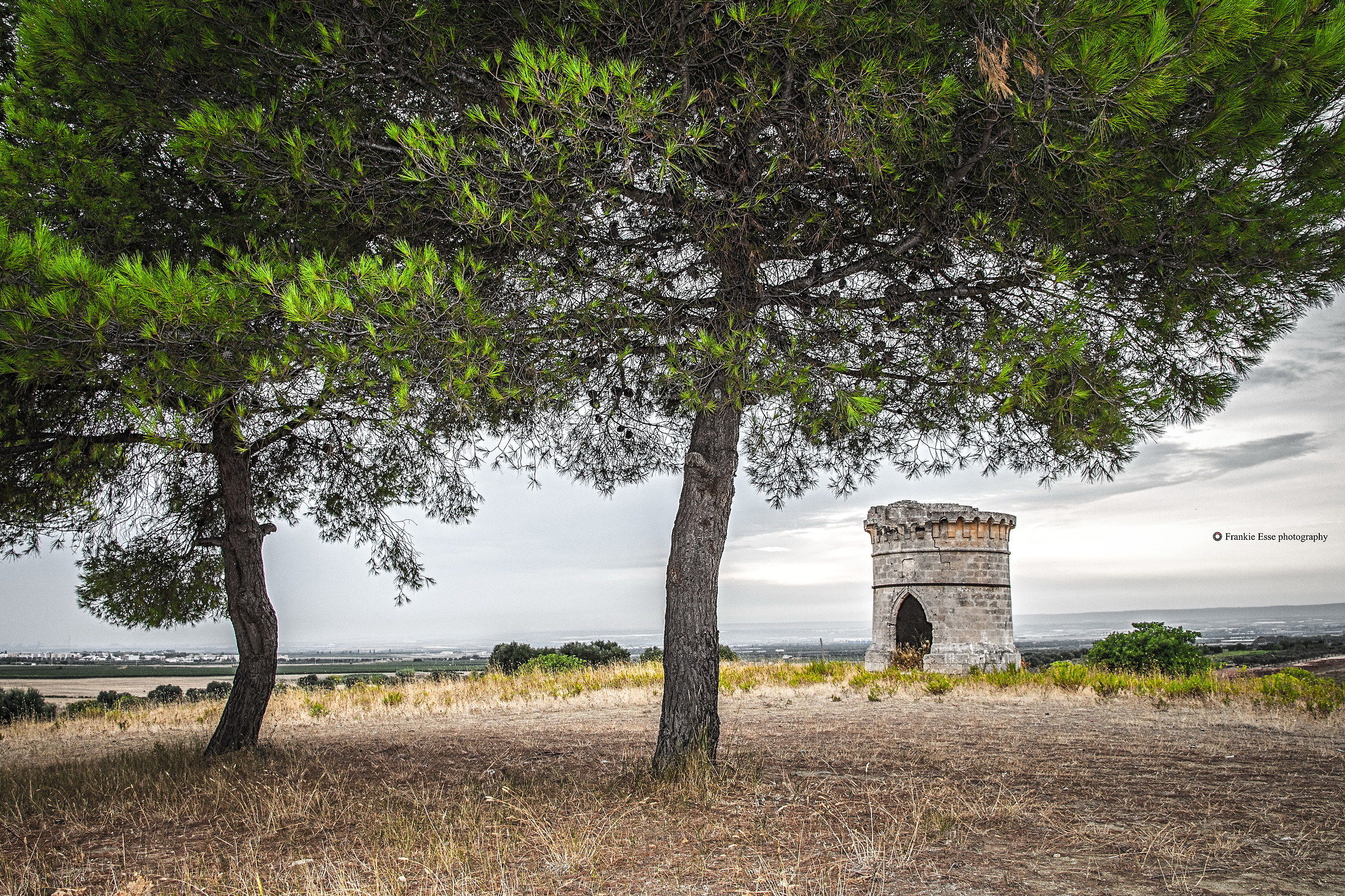 Turrione angioino - Puglia