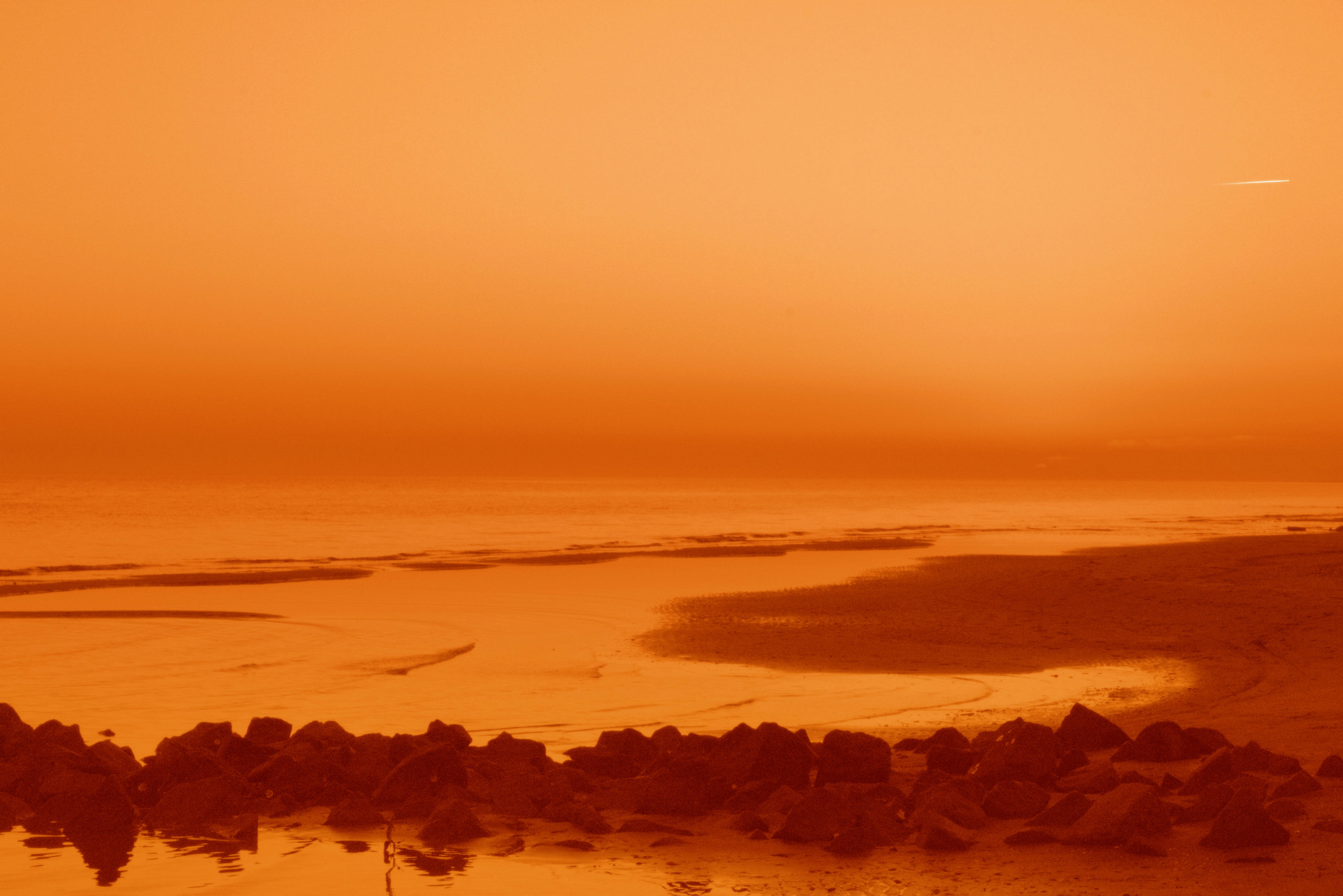 The warm colors of autumn