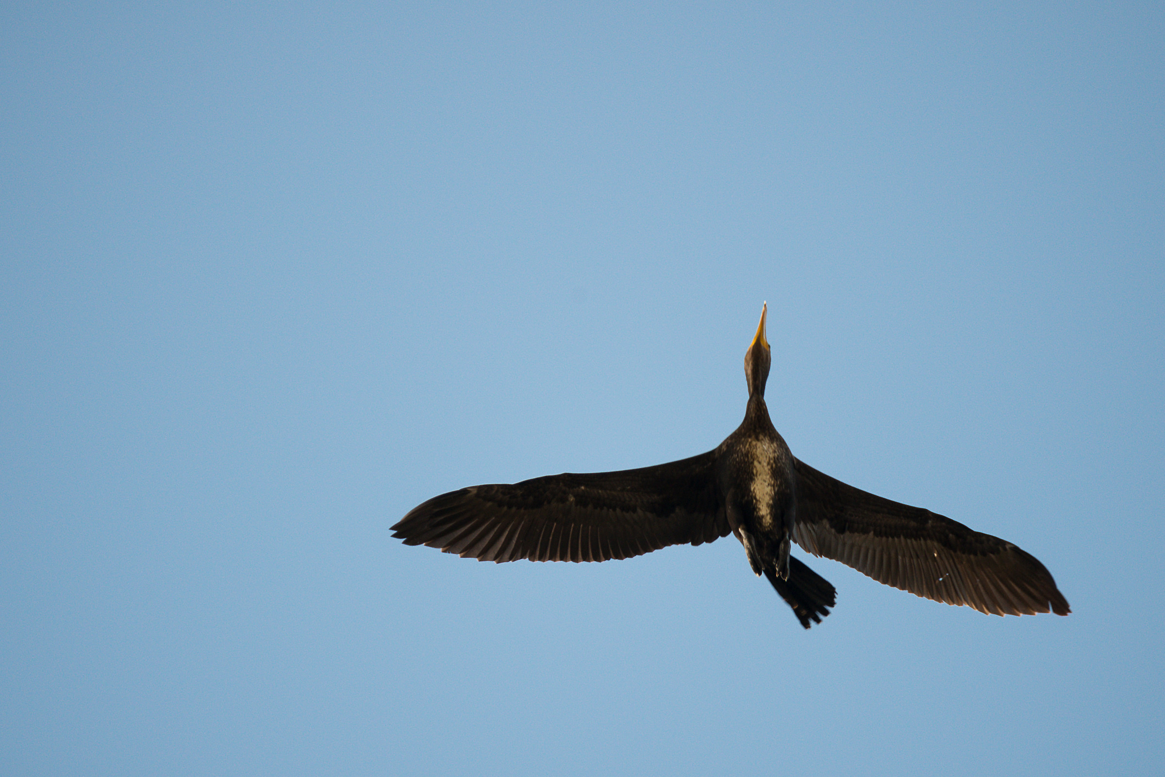 Virata improvvisa ..