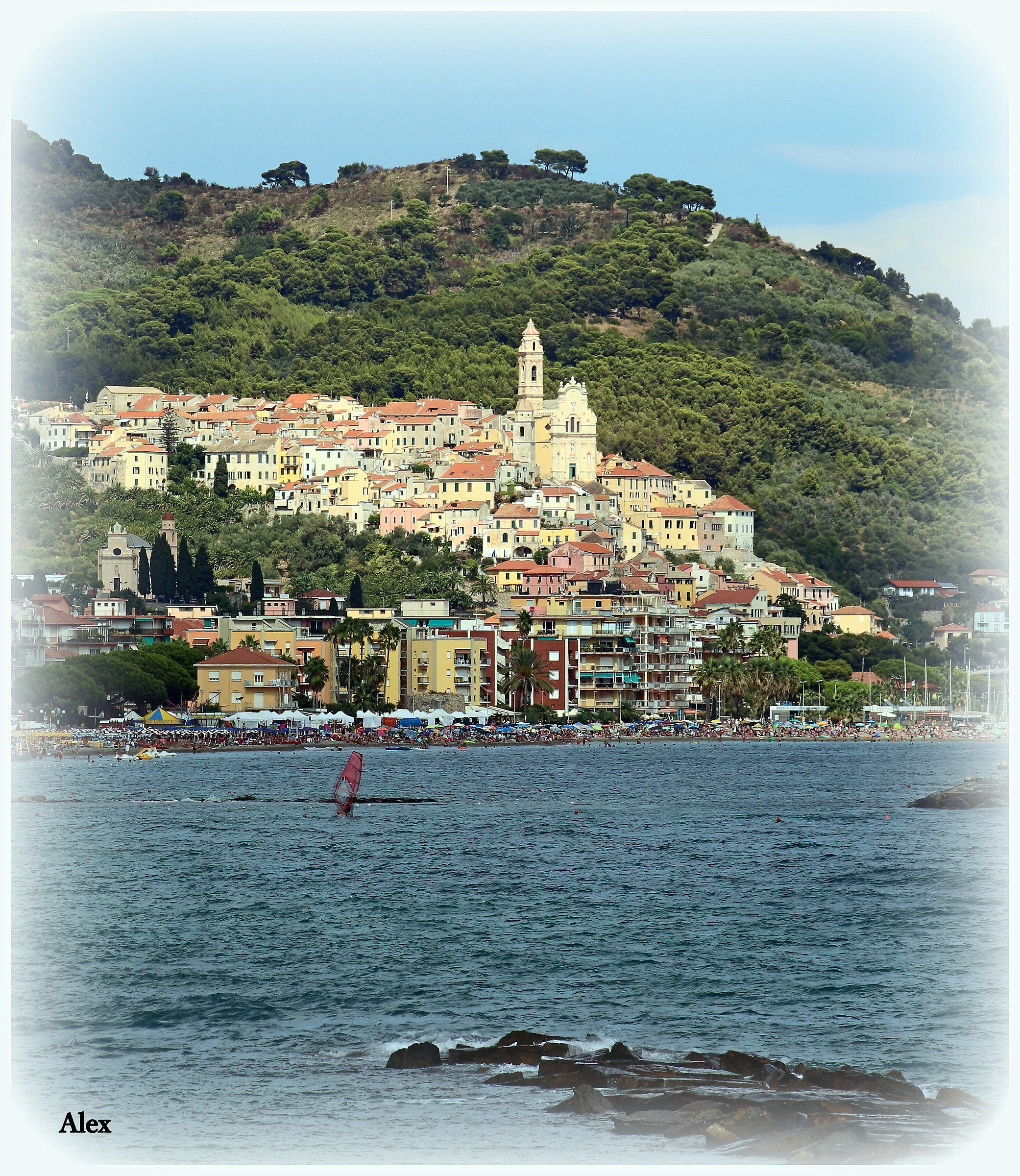 Cervo ligure (im)