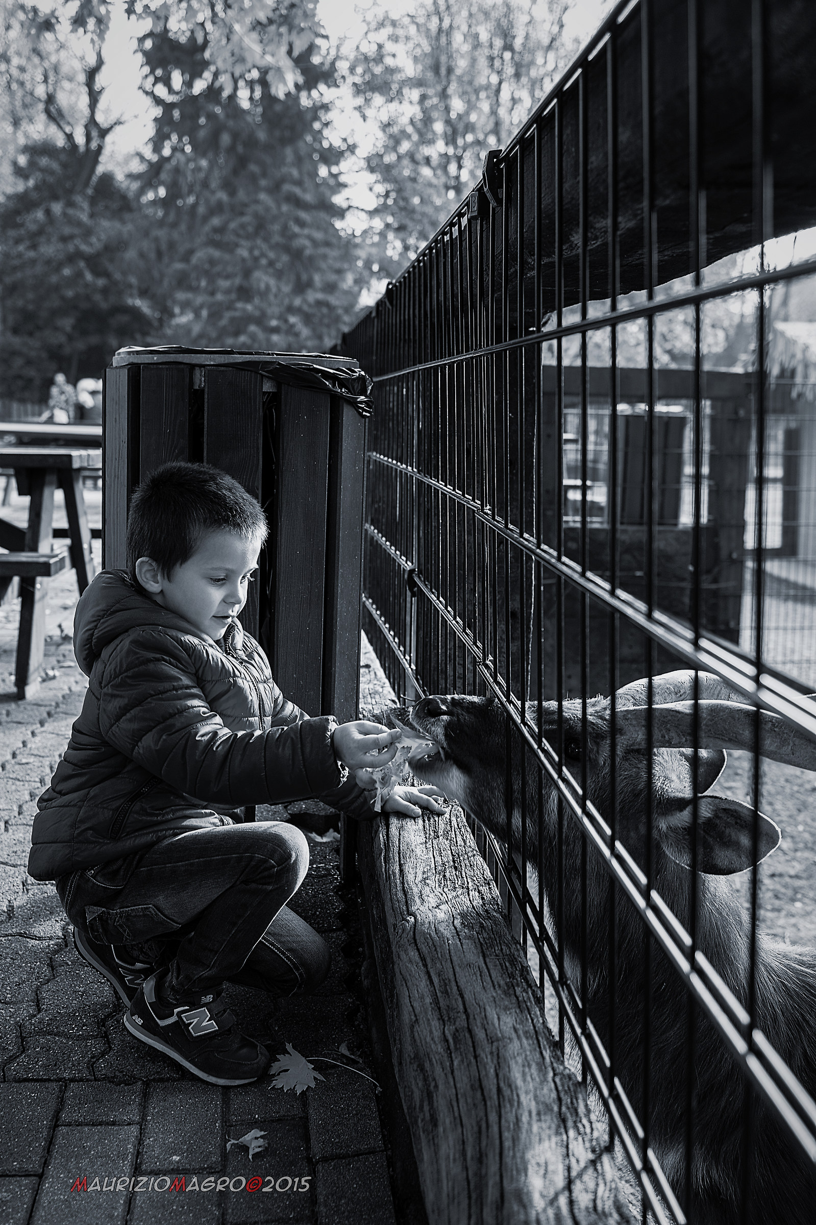 se ti piacciono le foglie cen'é!!!