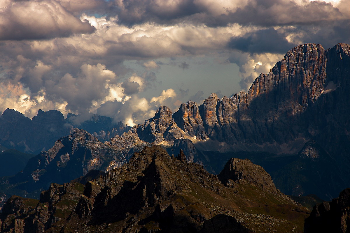 The Owl ... in my way!