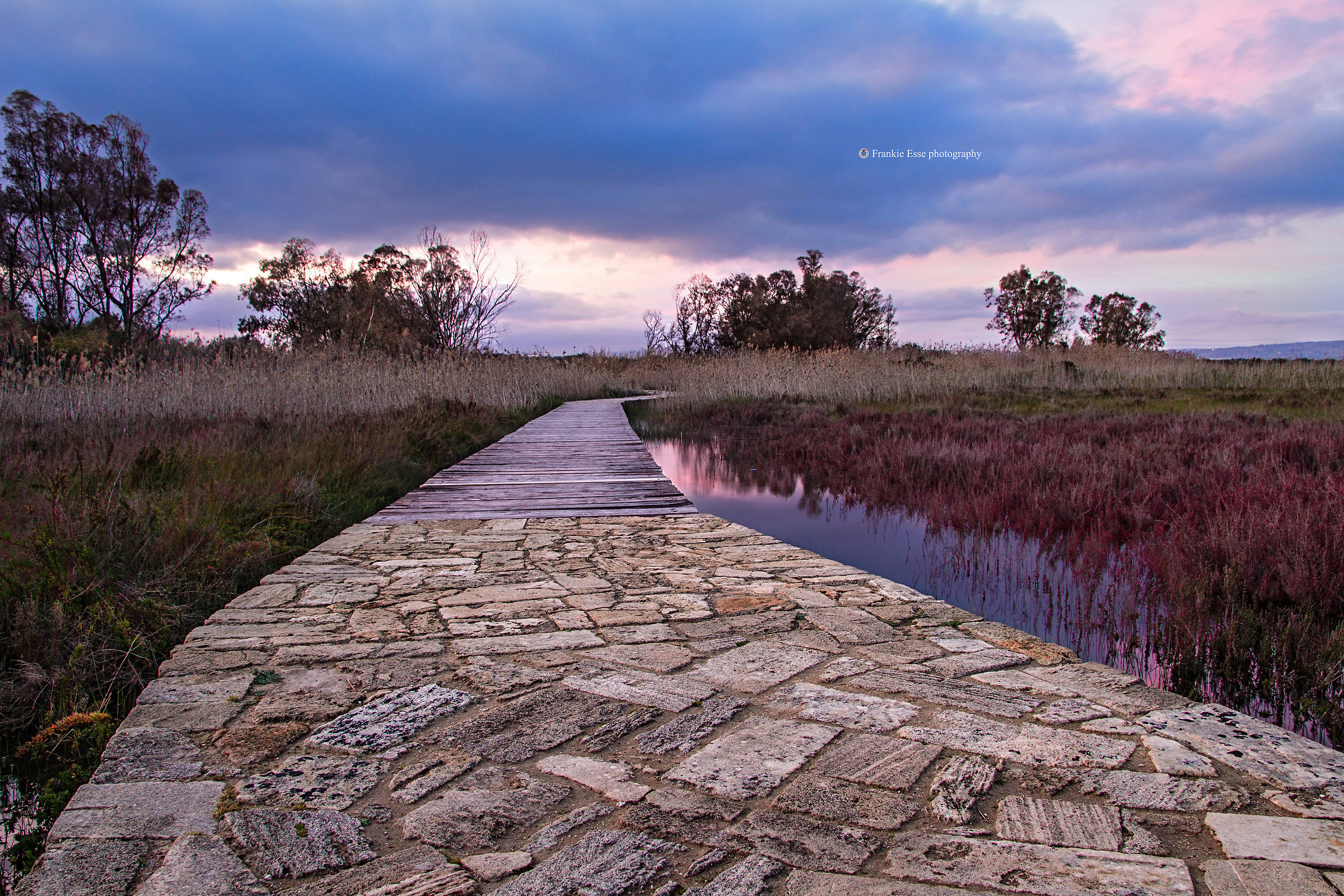 Vendicari Wildlife Reserve Wildlife Reserve