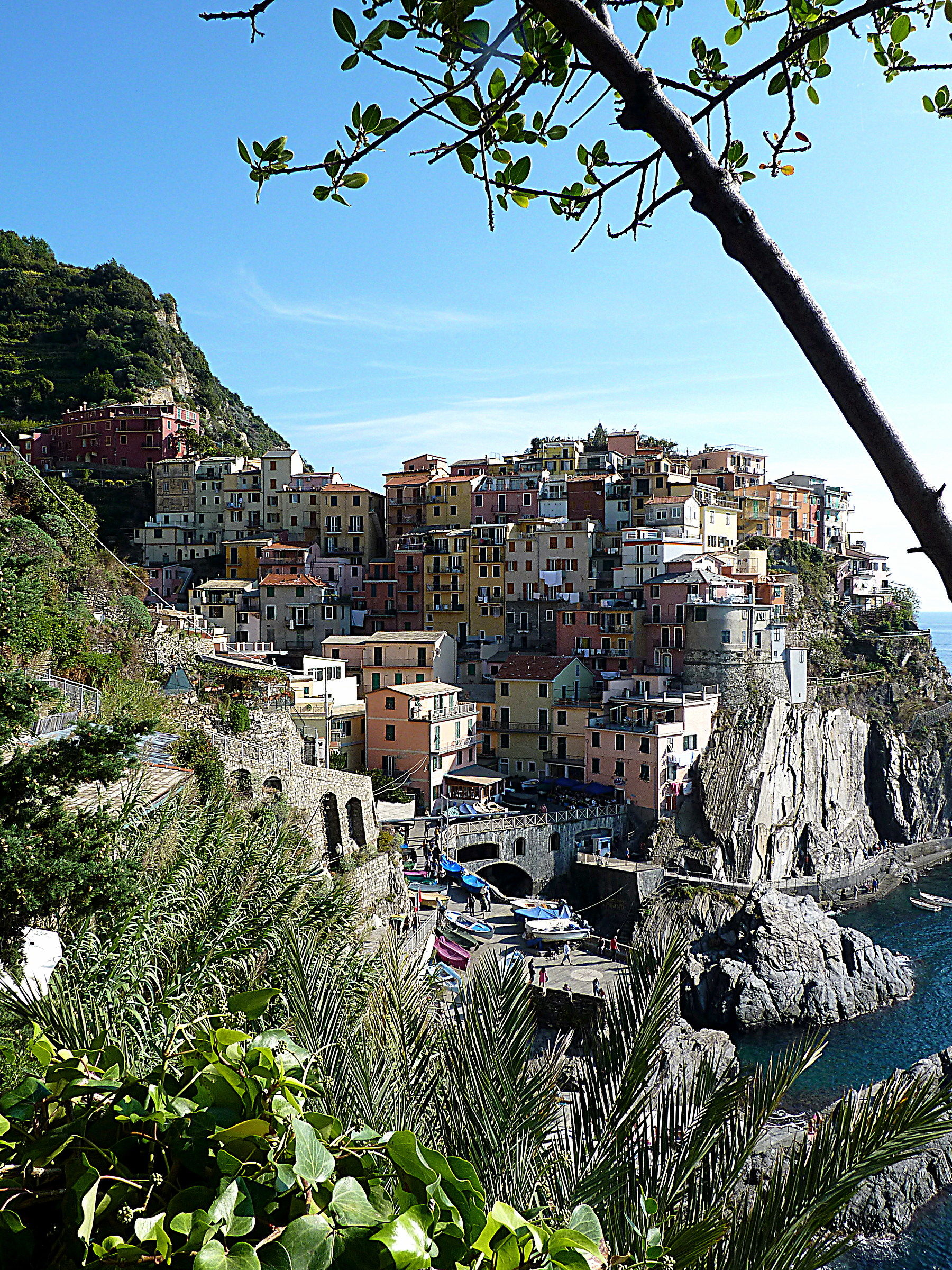 Manarola 5 Terre La Spezia