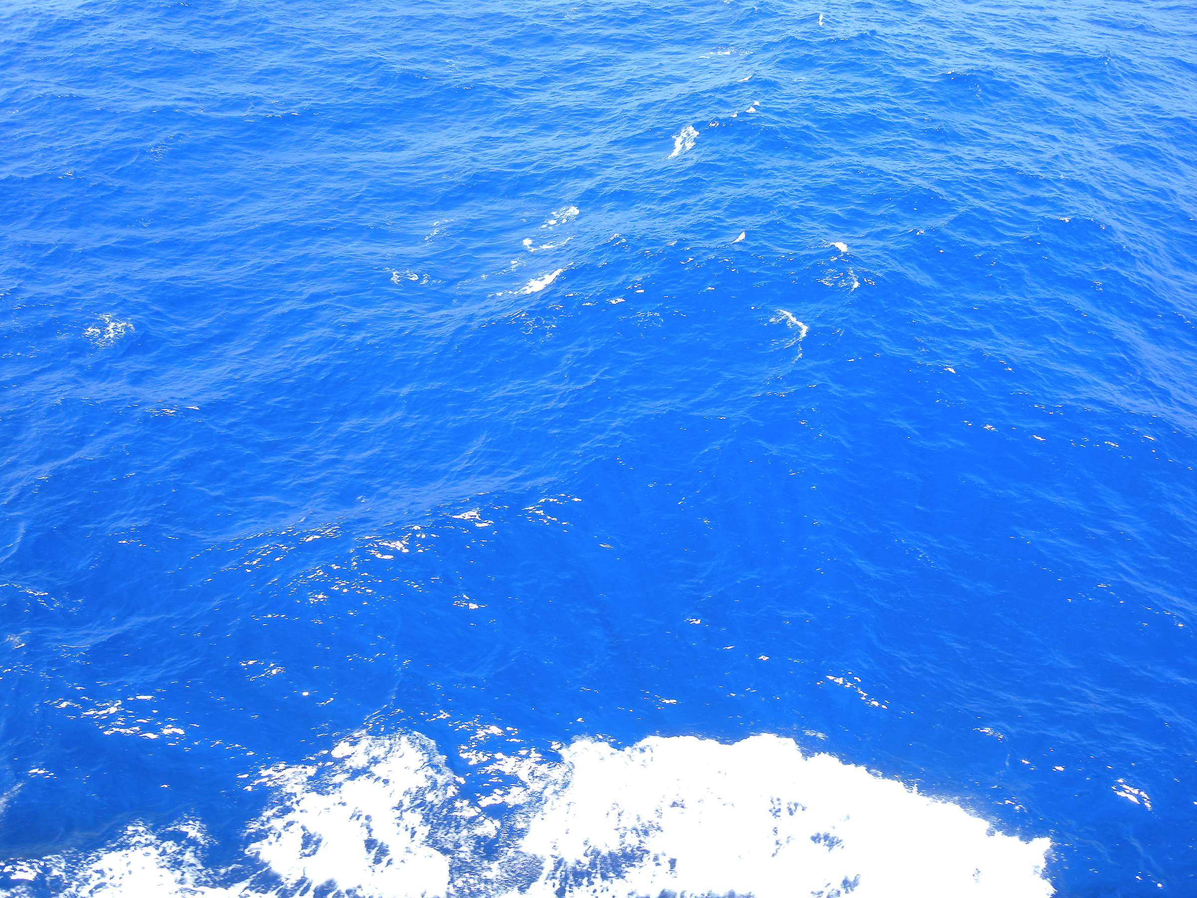 Sailing in blue