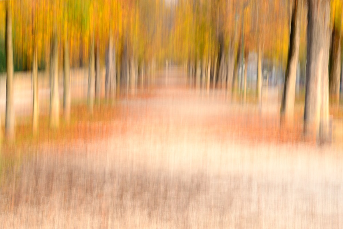 impressioni di settembre (lungo mura Treviso)