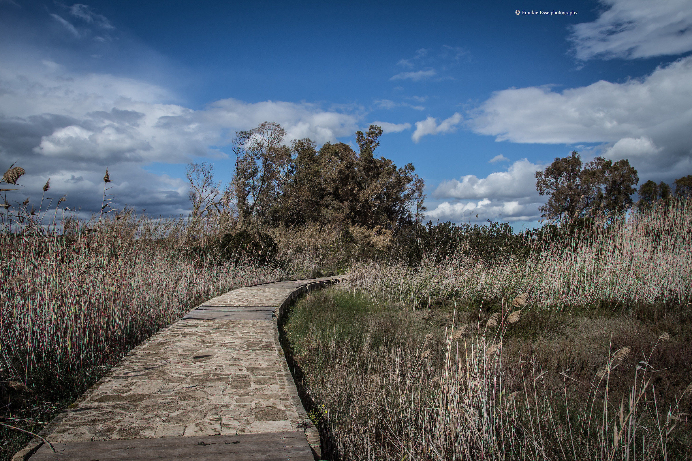 Vendicari Wildlife Reserve Wildlife Reserve