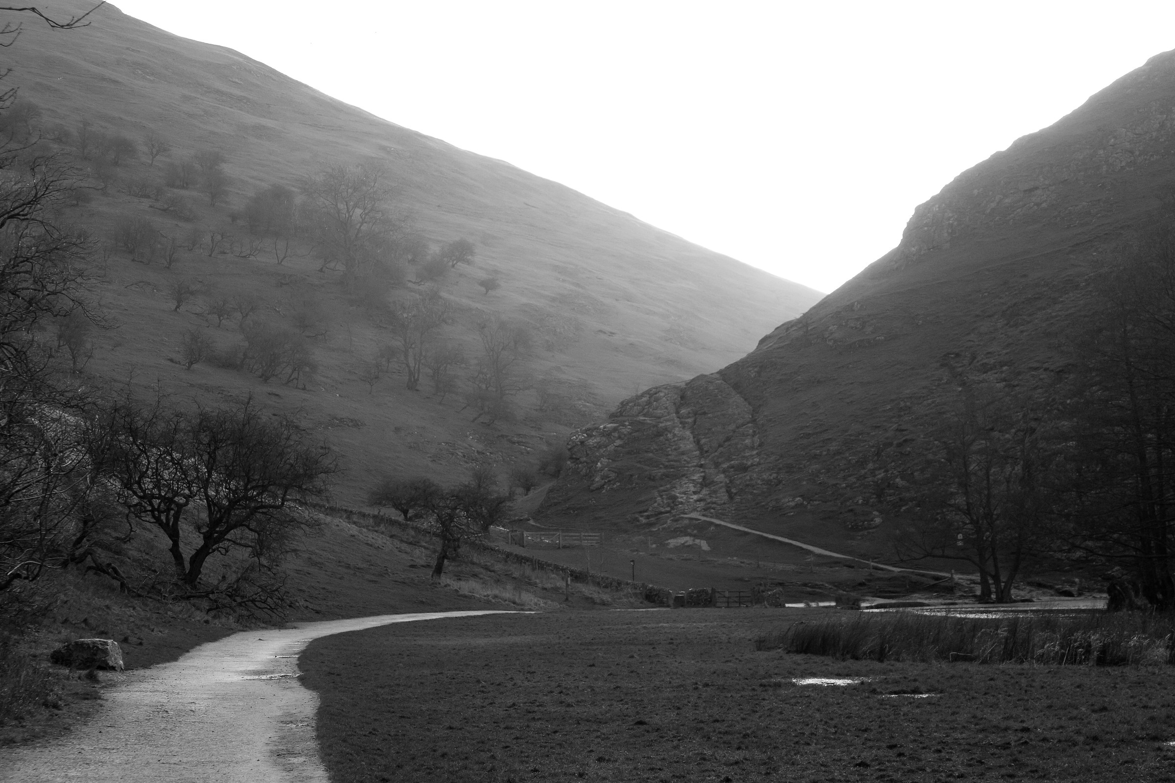 Il percorso è lungo e tortuoso verso la luce
