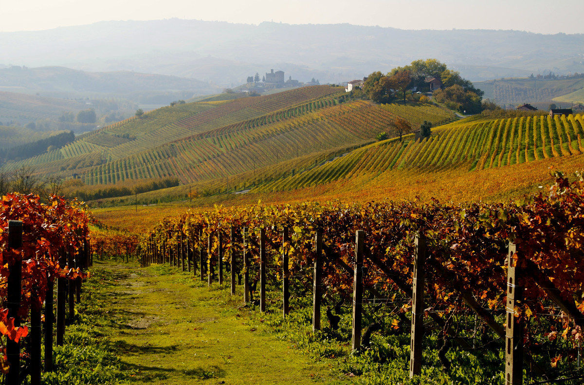 Il Castello di Grinzane Cavour