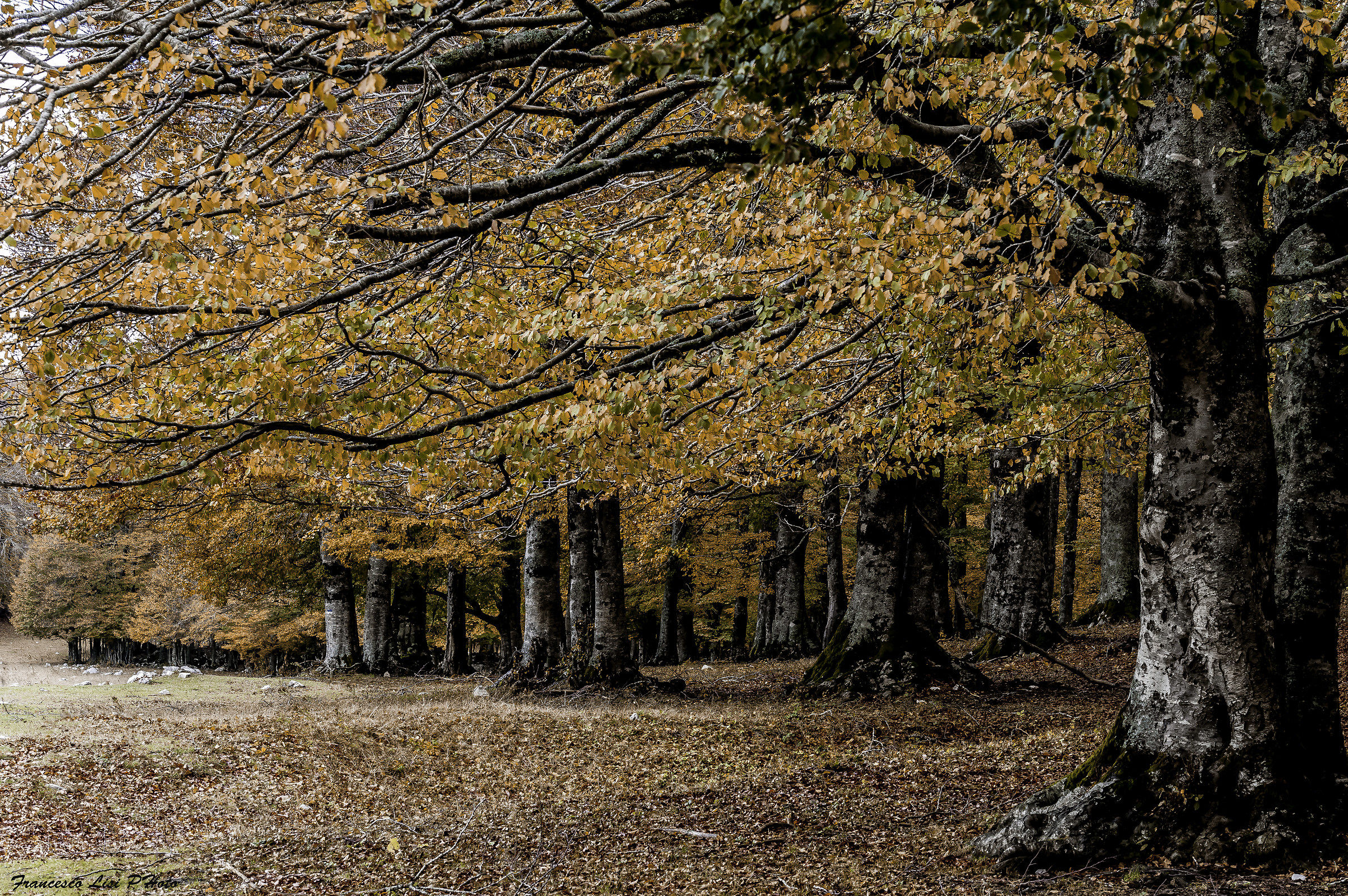 At the foot of the world