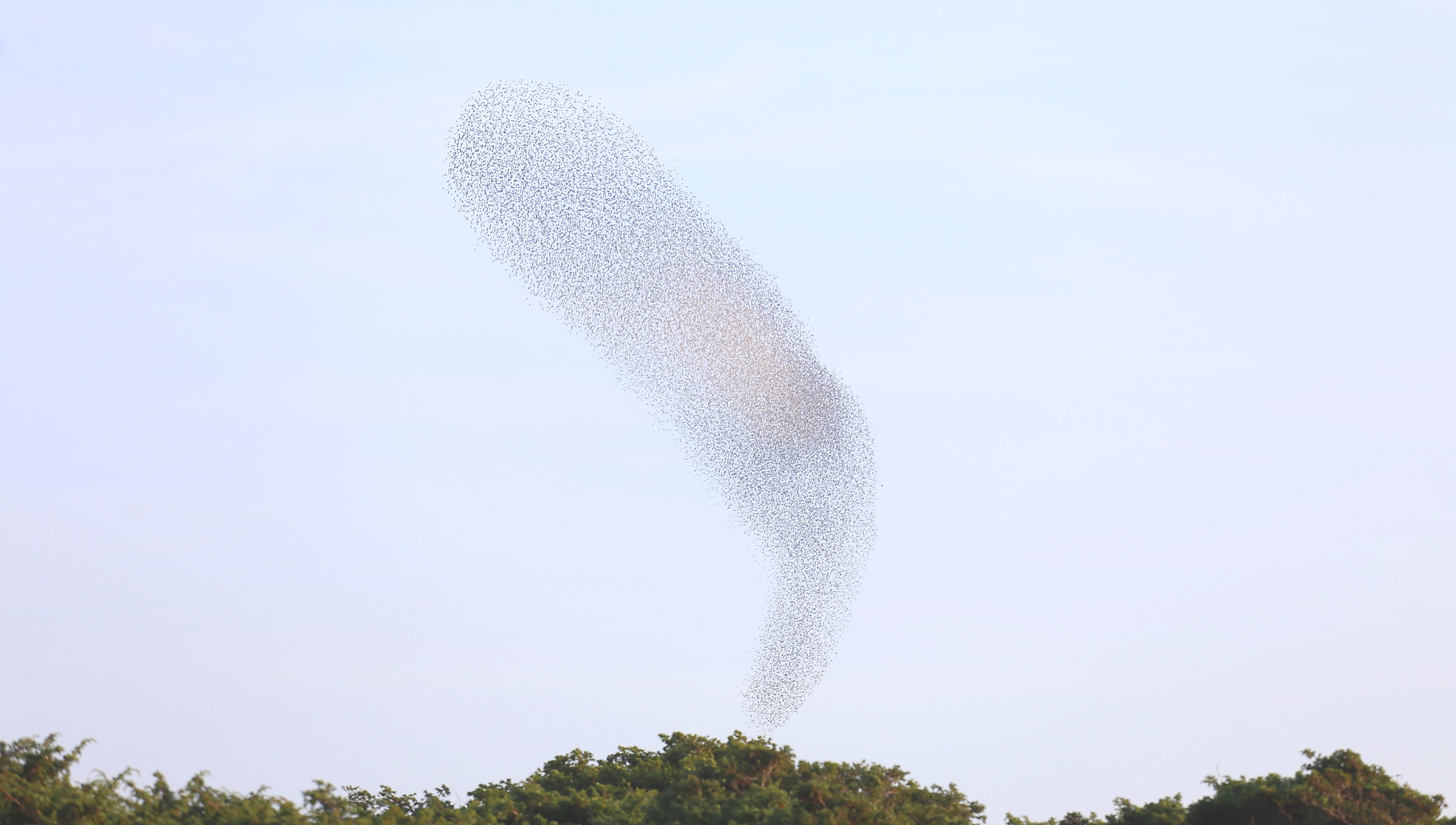 boomerang for transfers