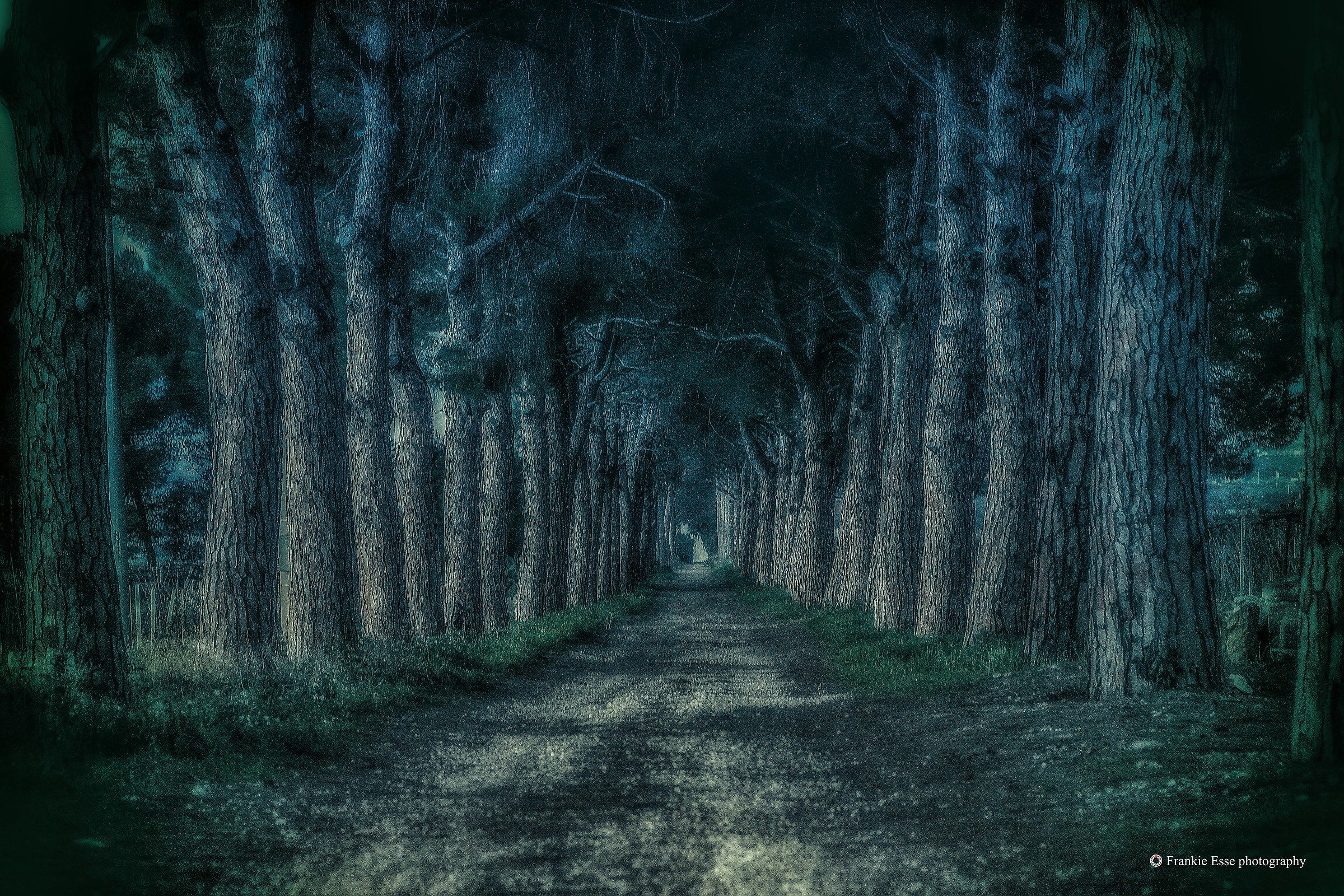 San Marzano - Puglia