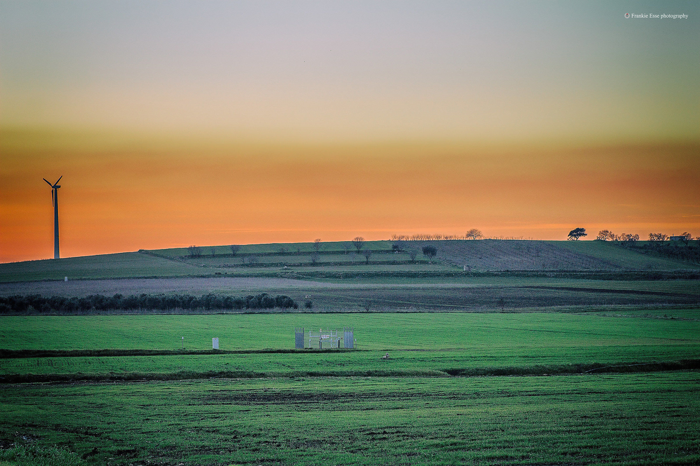 San Marzano - Puglia