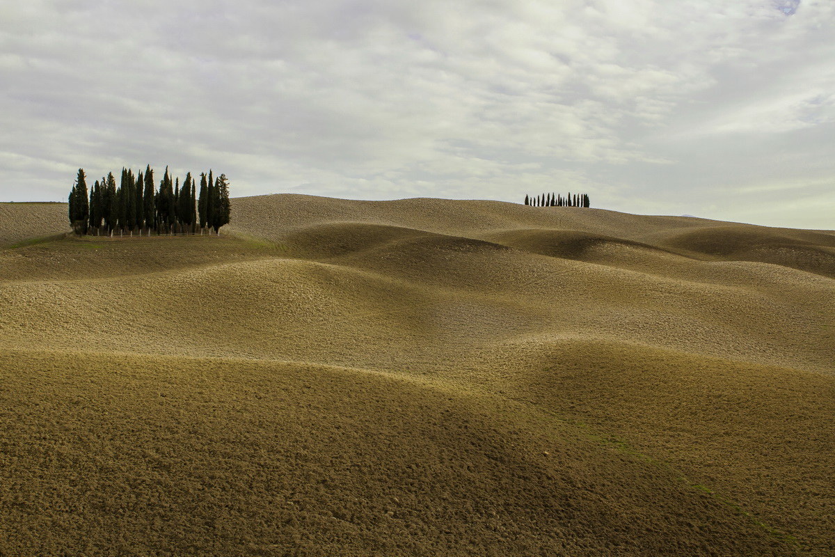 Rolling Tuscan hills