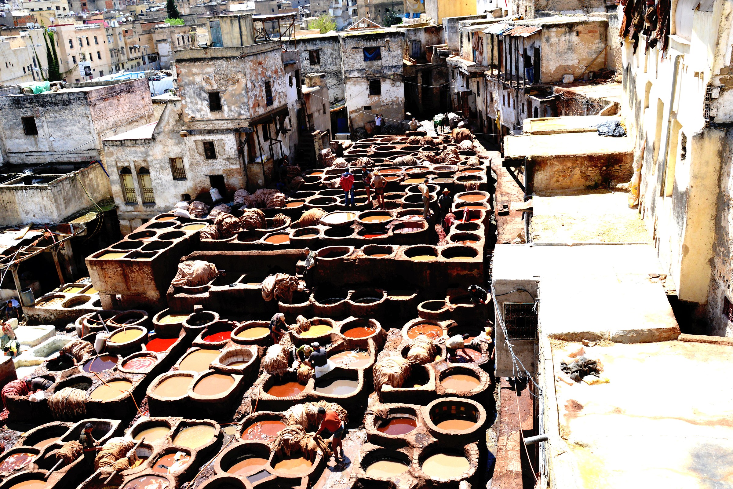 leather tannery