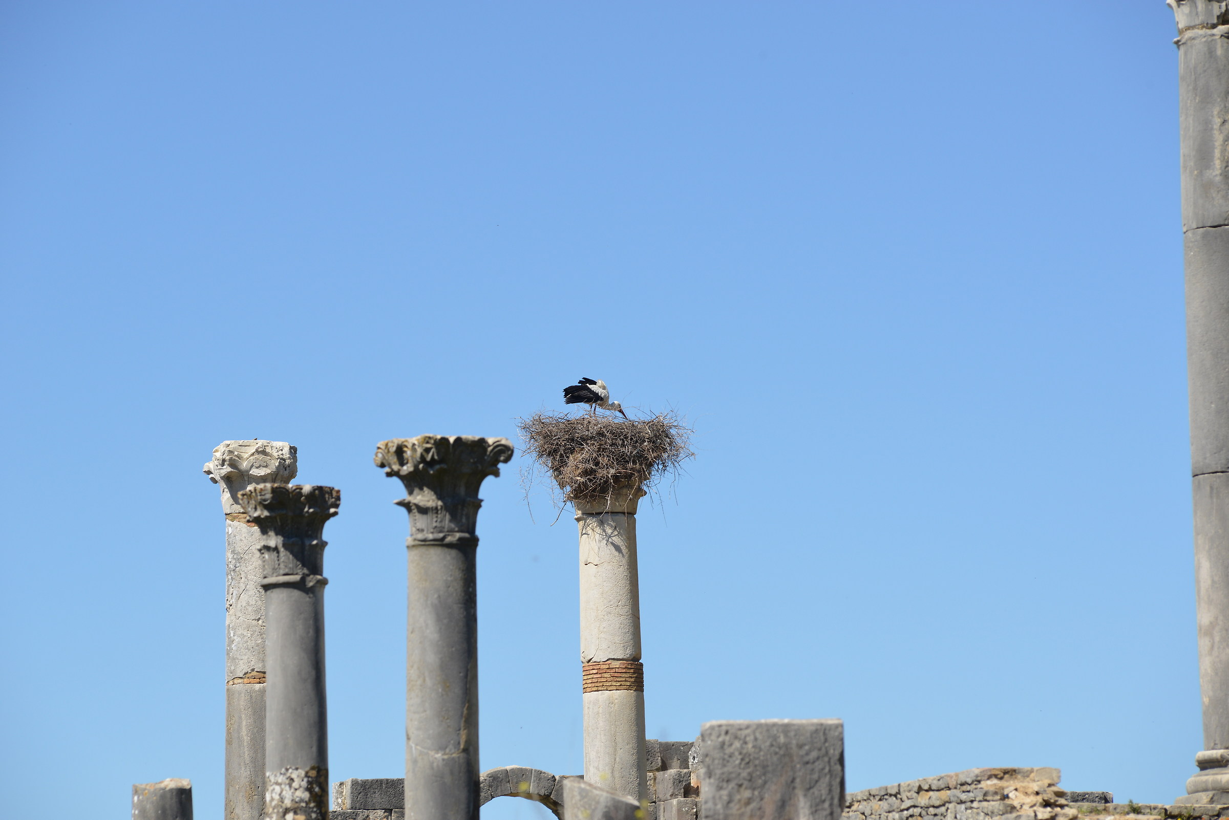 archaeological Romans