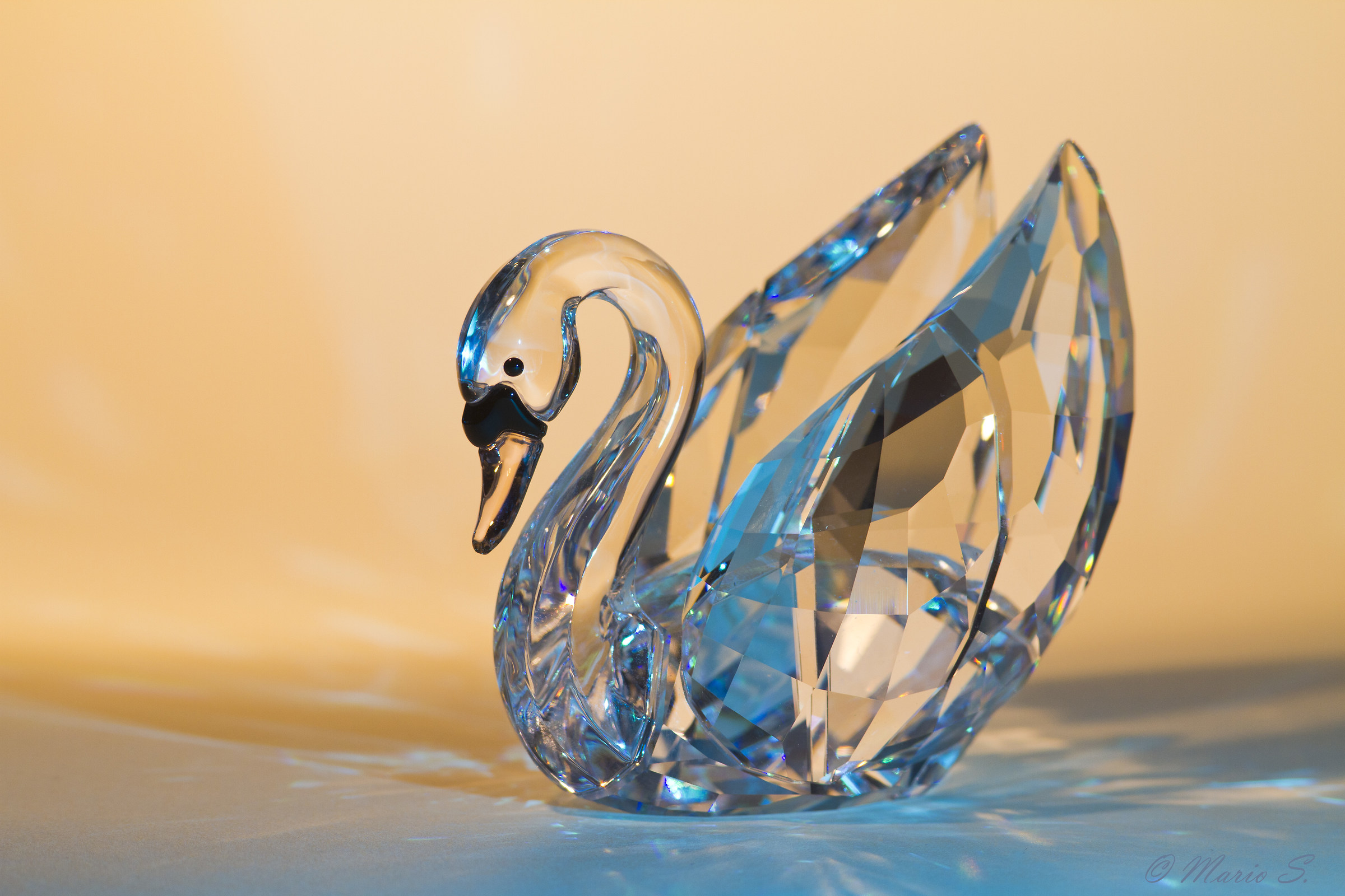 Swarovski swan