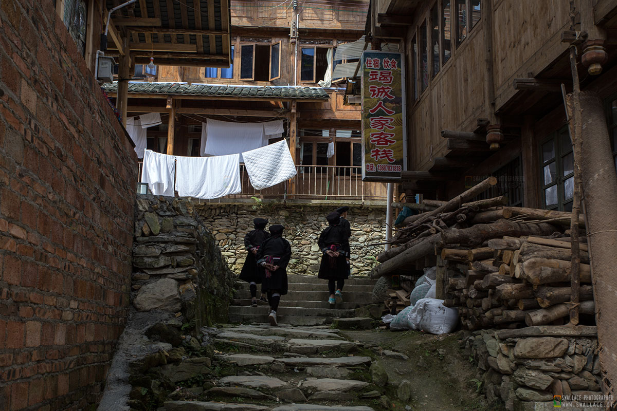 Paddies Dazhai "China"