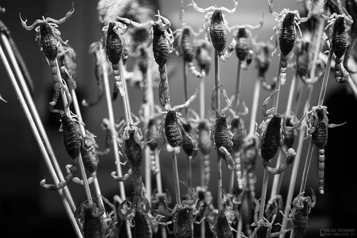 Beijing Night Market