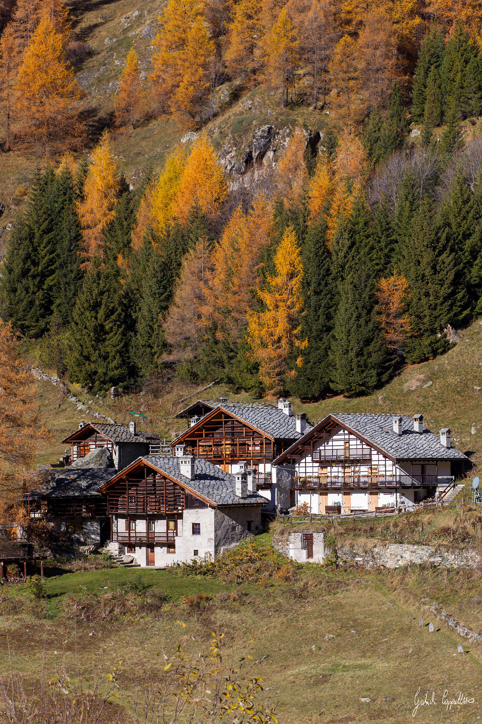 Living in Paradise II