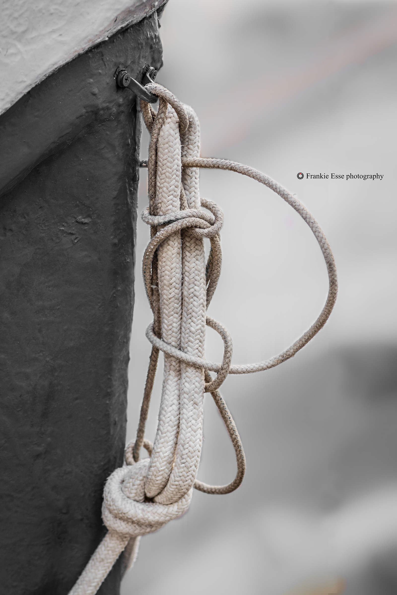 Knots of life