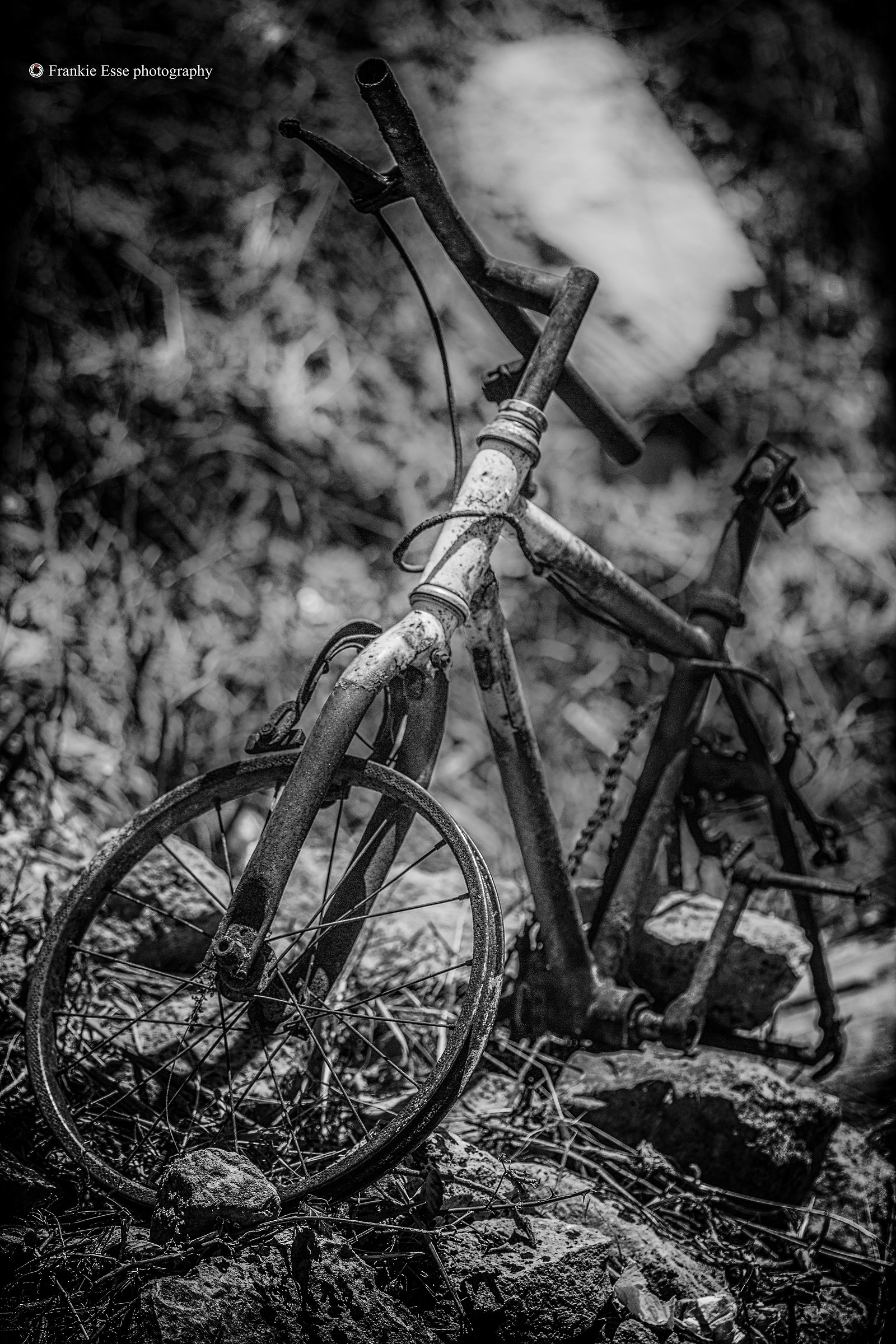 Old bicycle