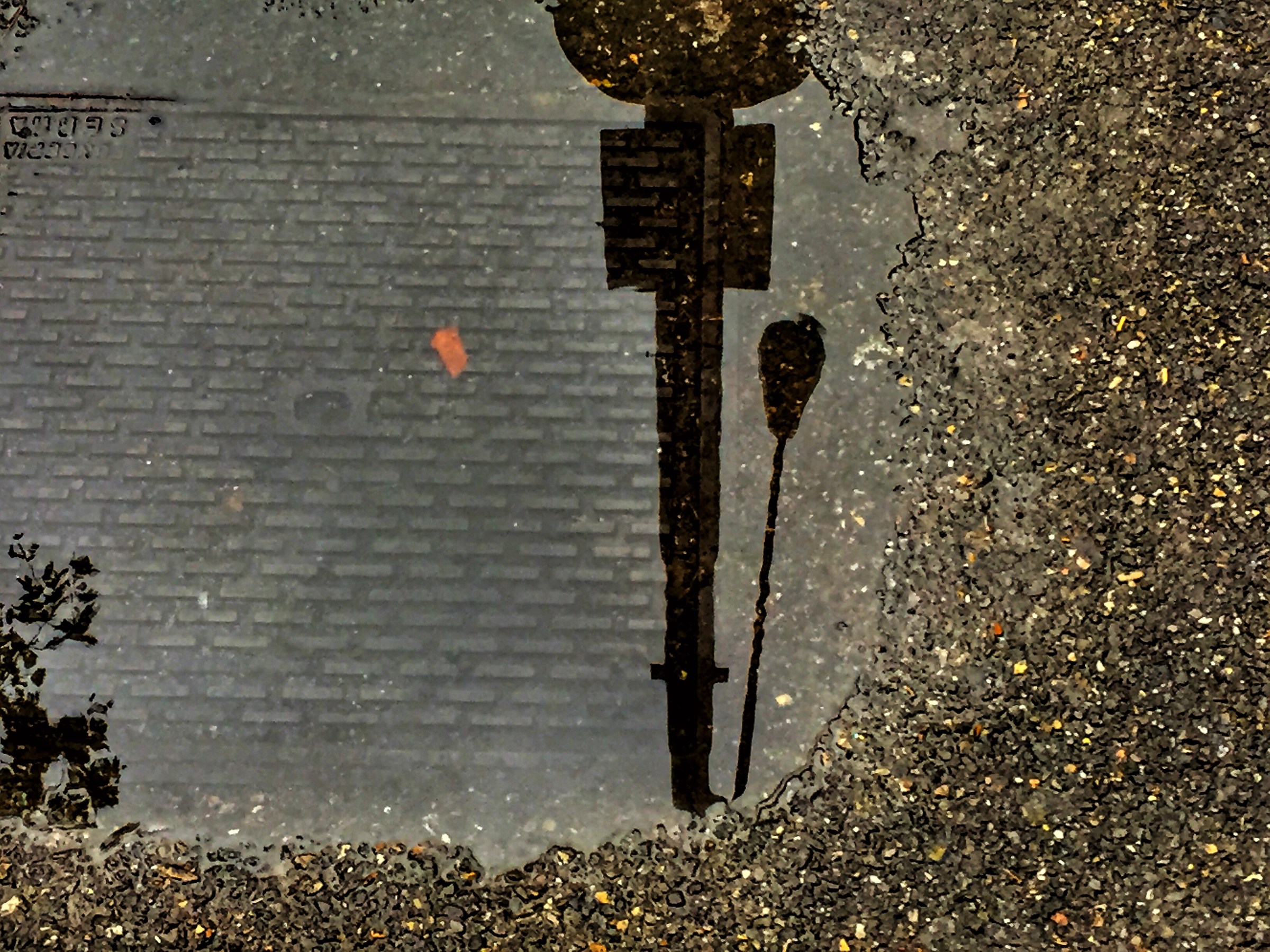 That I am sure the lamp will turn