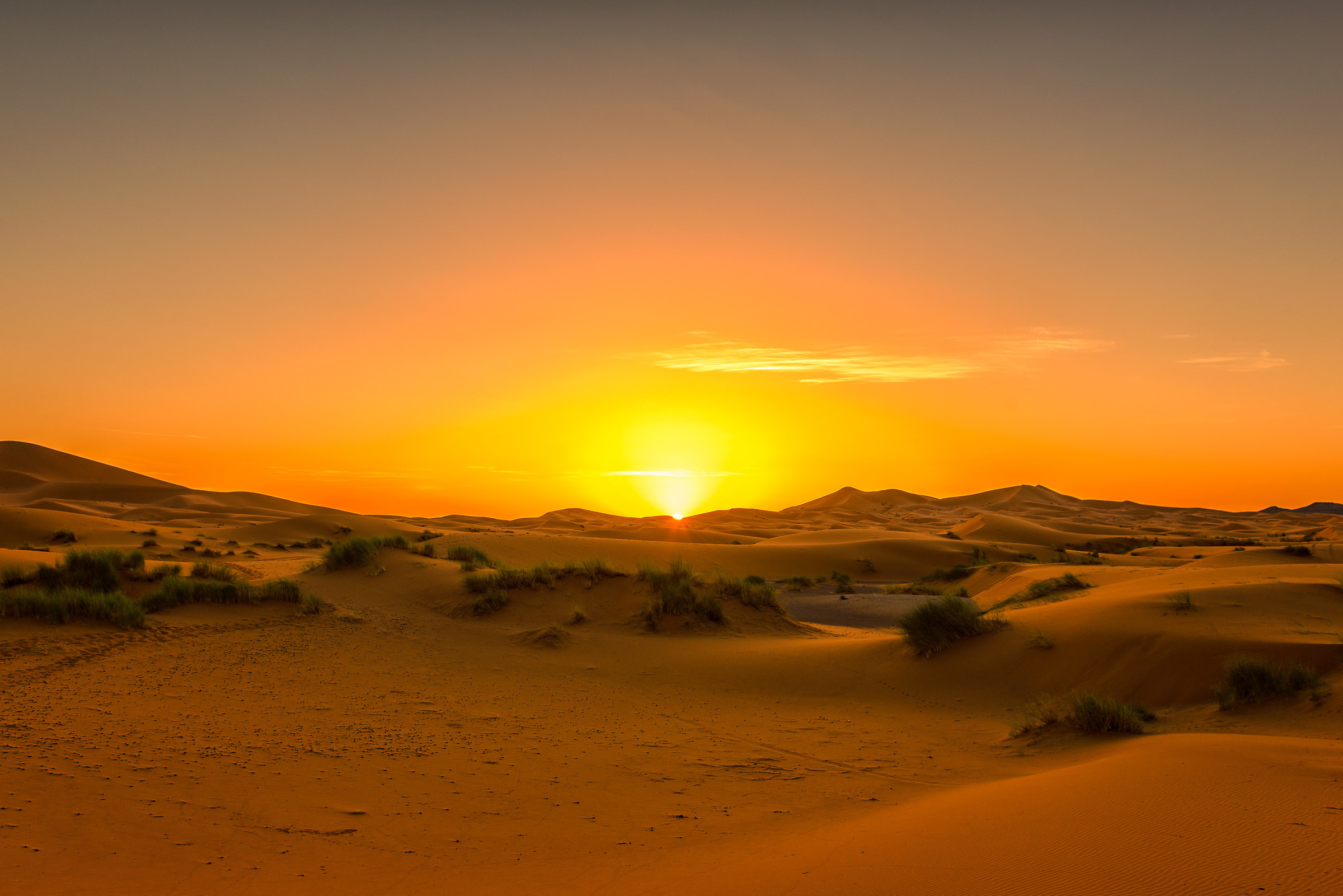 Good morning Merzouga
