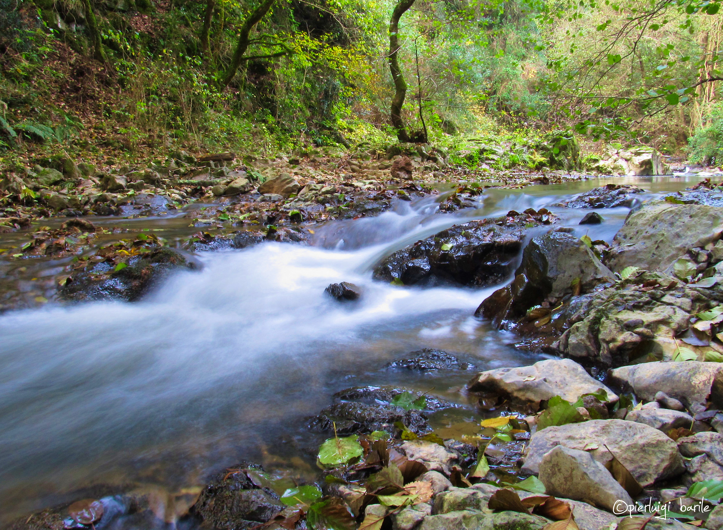 Fosso della Mola -Cerveteri-
