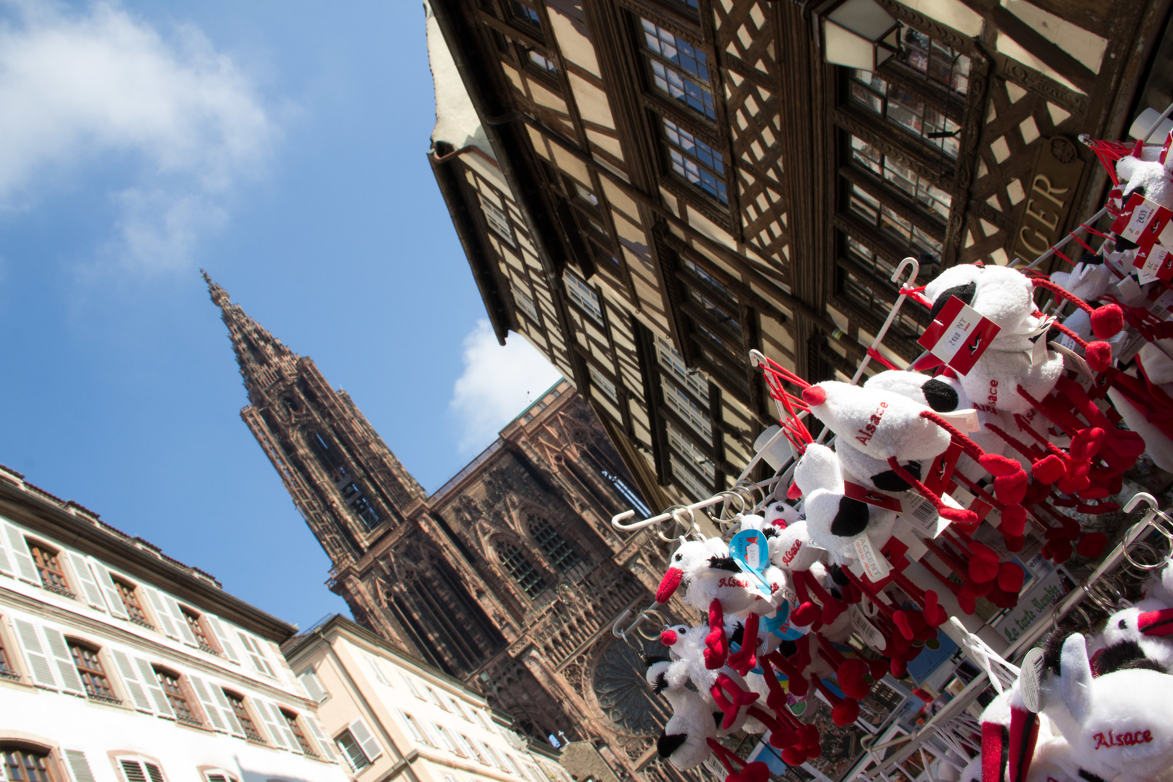 "Storks" in Strasbourg