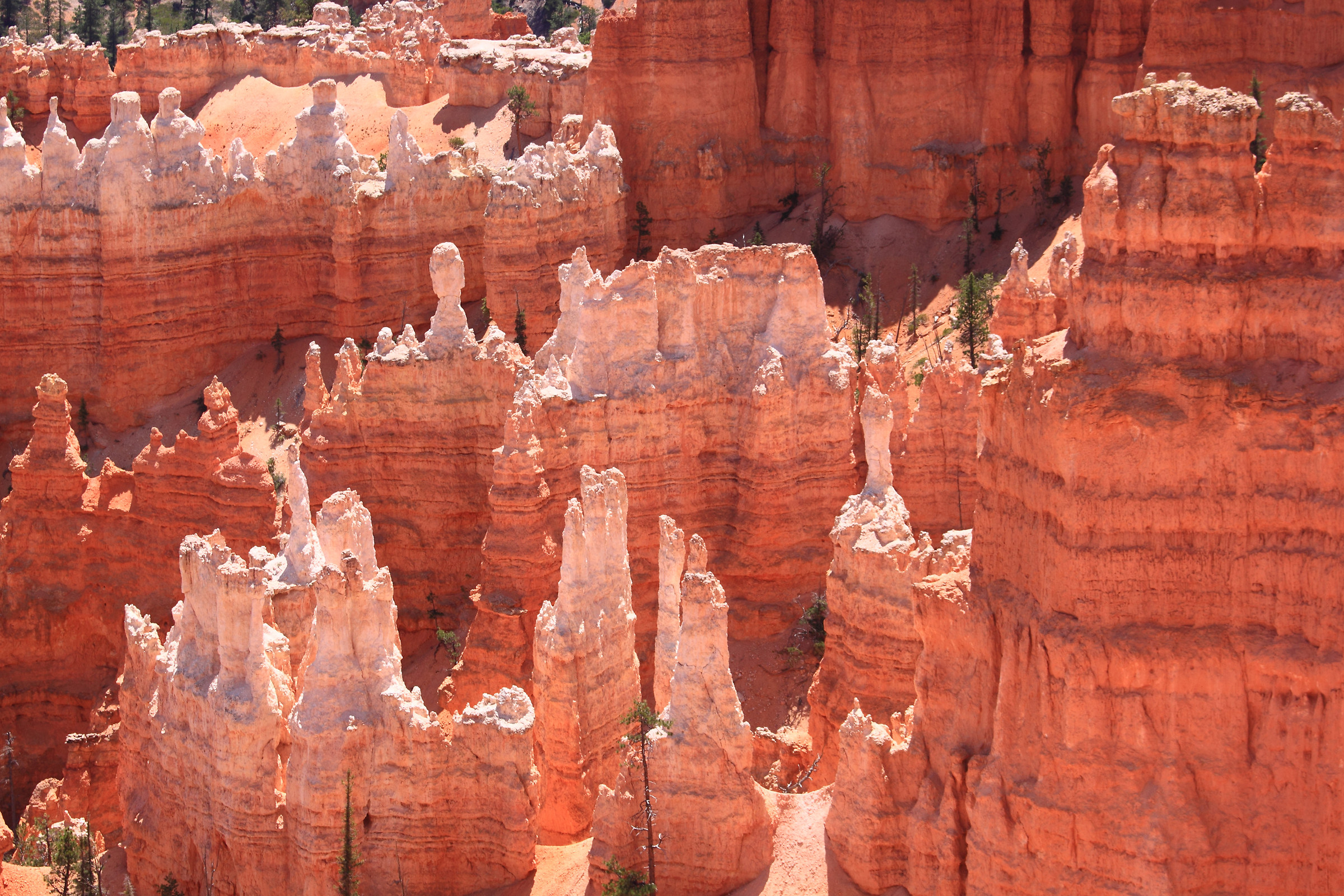 Bryce canyon