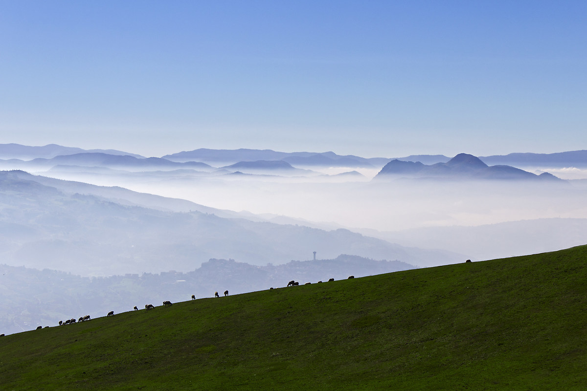 Dolce foschia mattutina