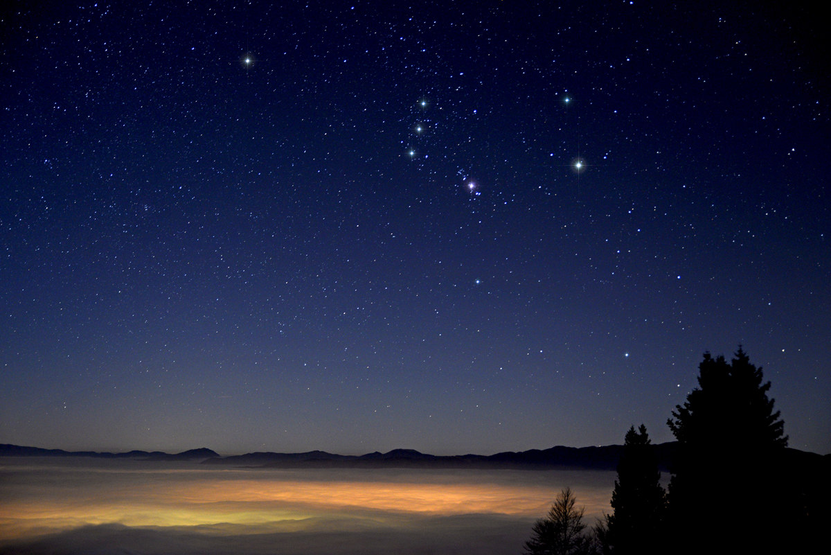 The queen of a winter night