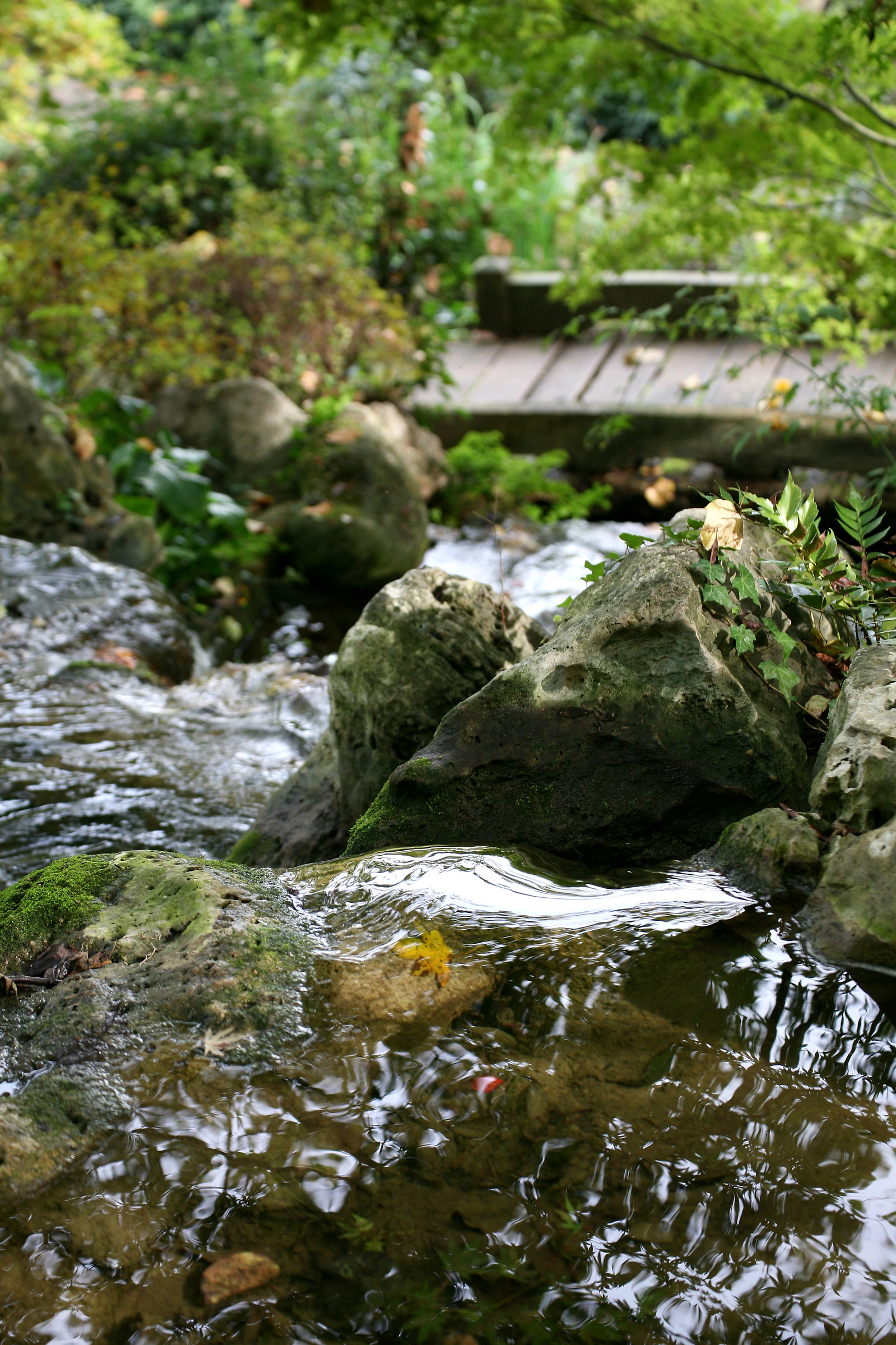 Giardino Giapponese.