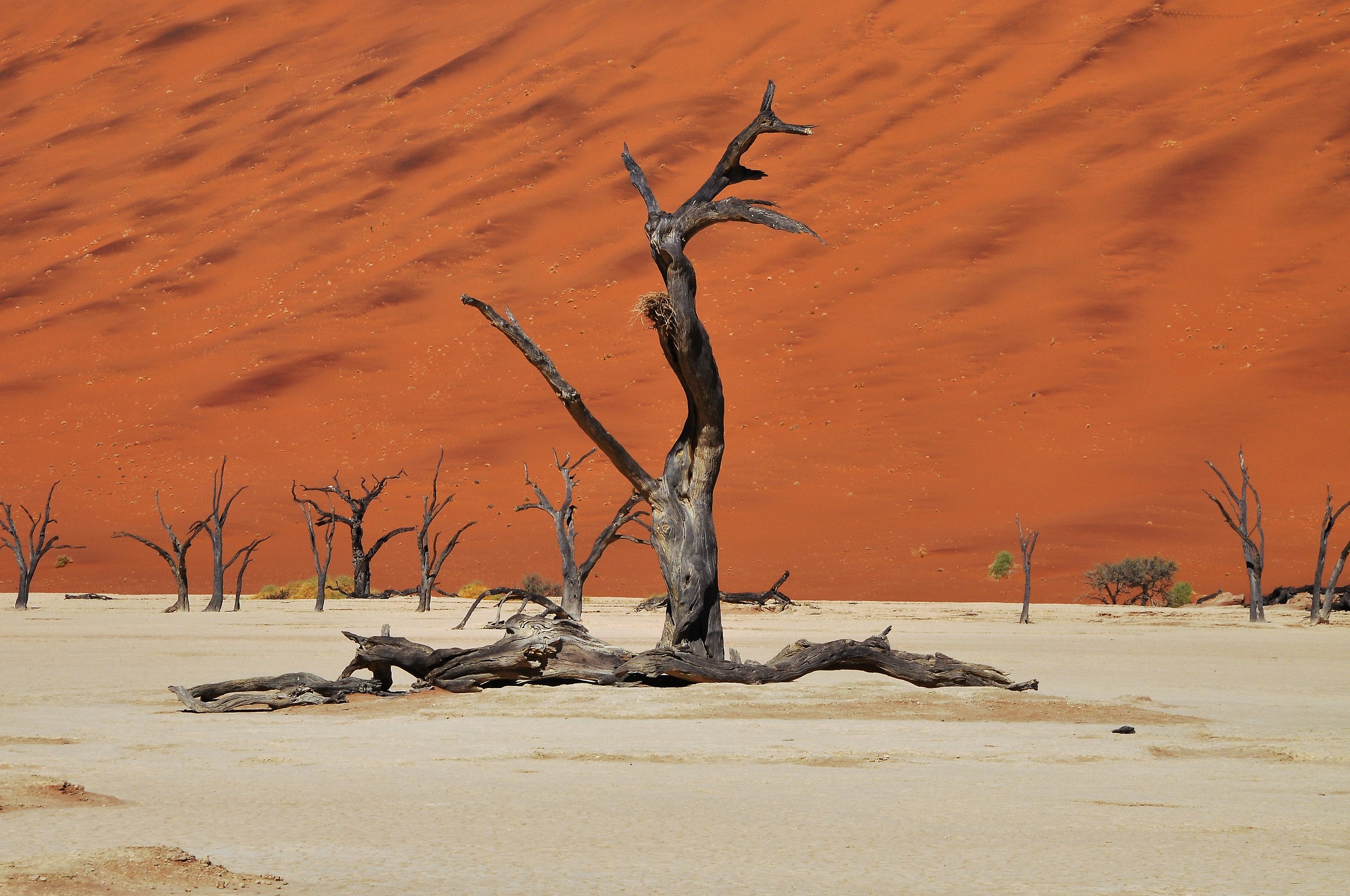Sossusvlei deserto