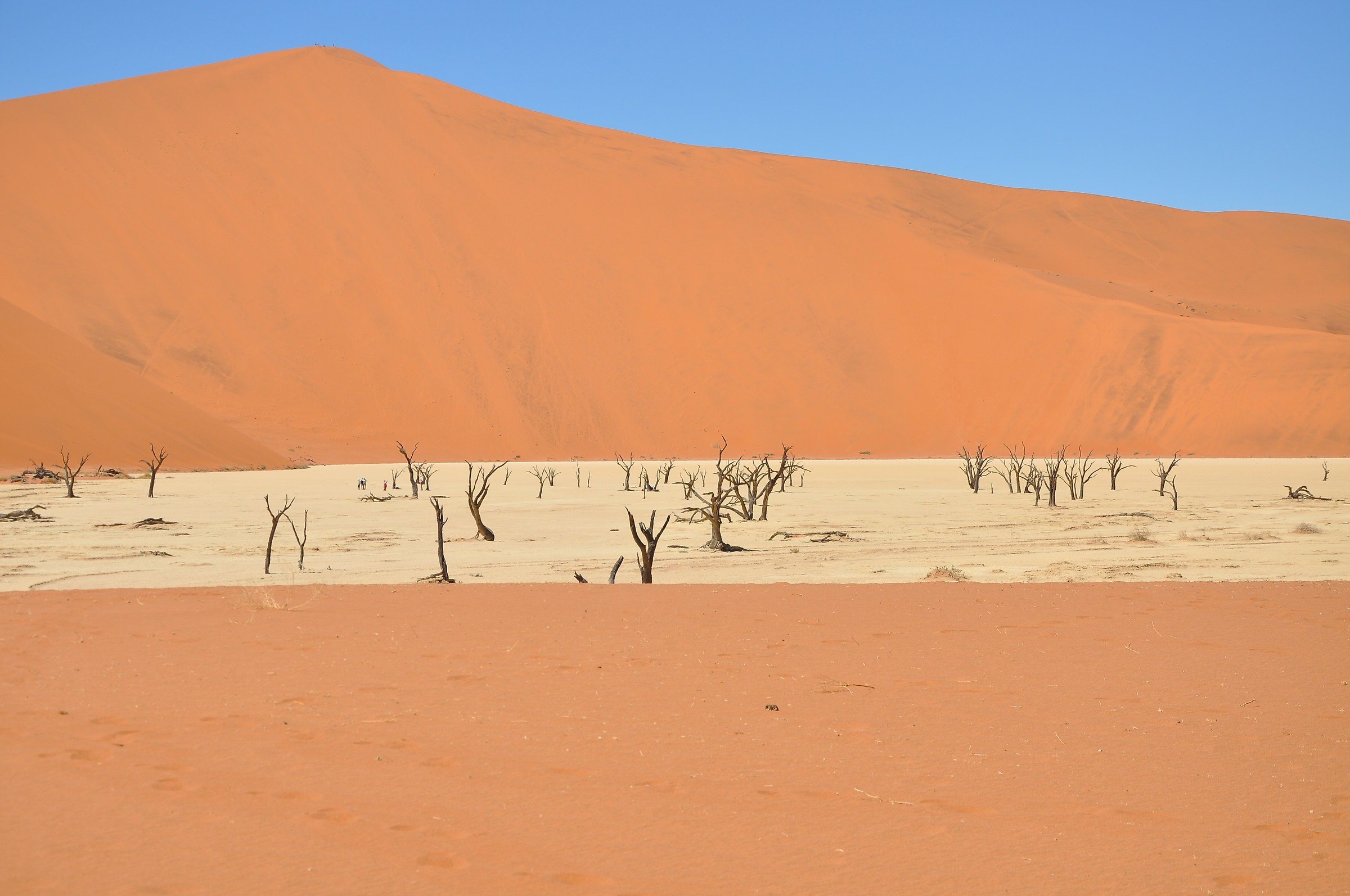 Sossusvlei deserto
