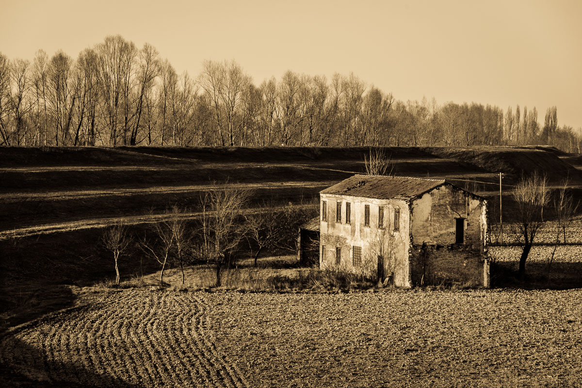 Lungo l'argine del Po