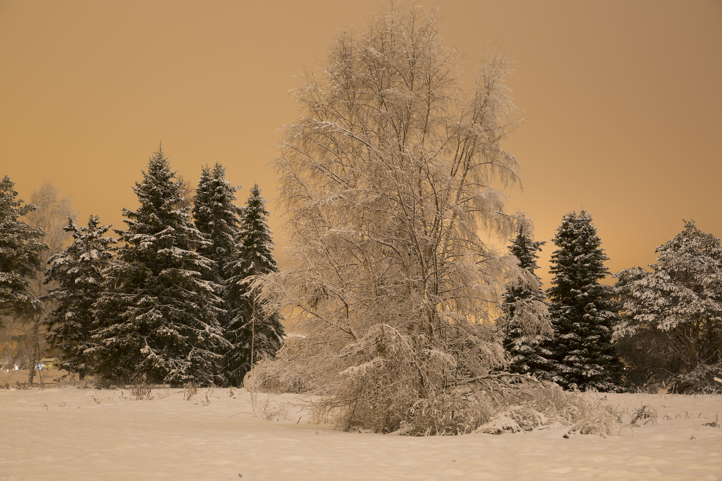 Rovaniemi, Lapland. magical countryside