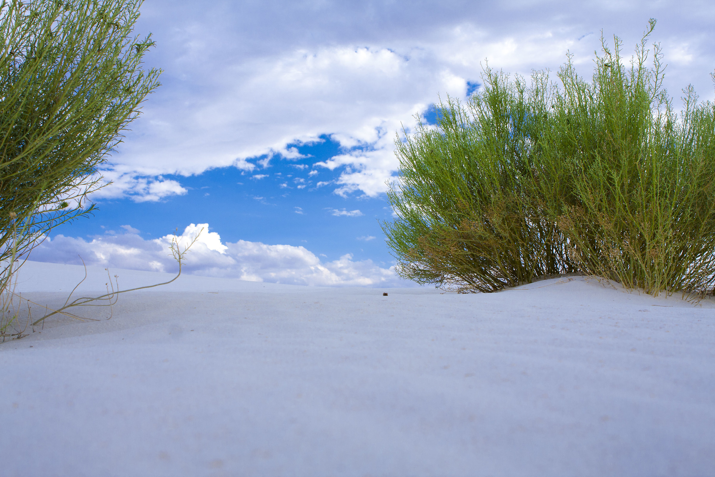 White Sands, New Mexico