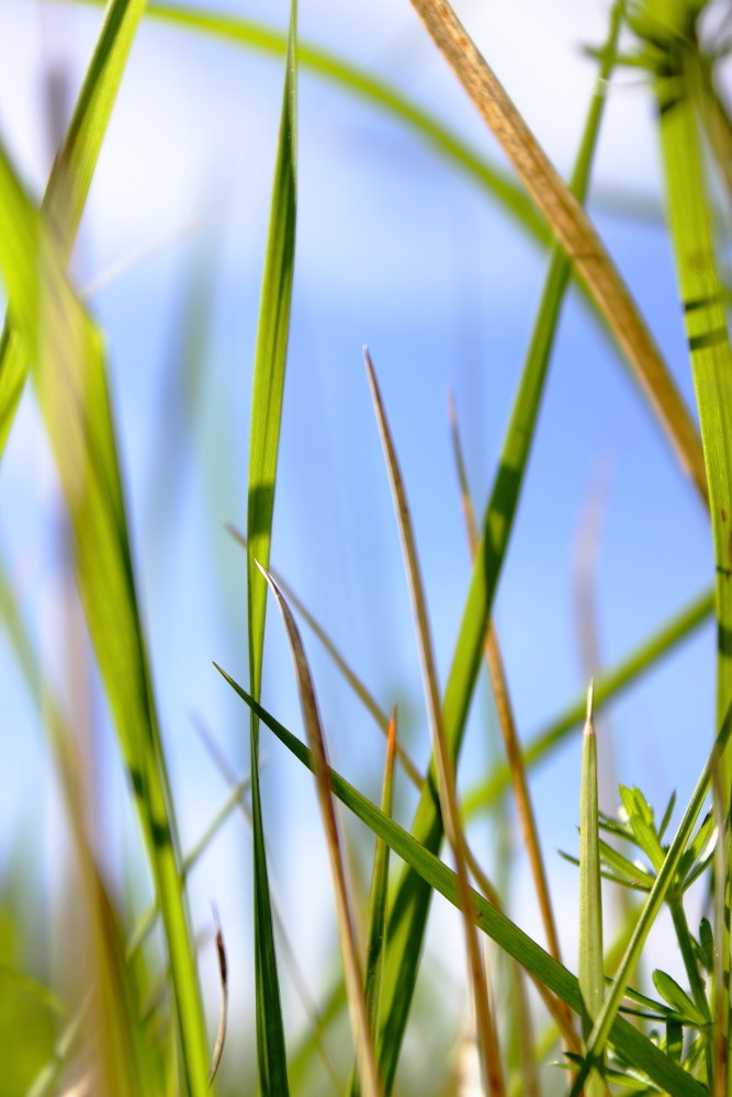 time to relax.........