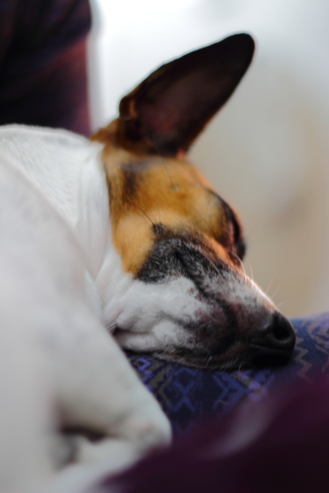 buona notte..................