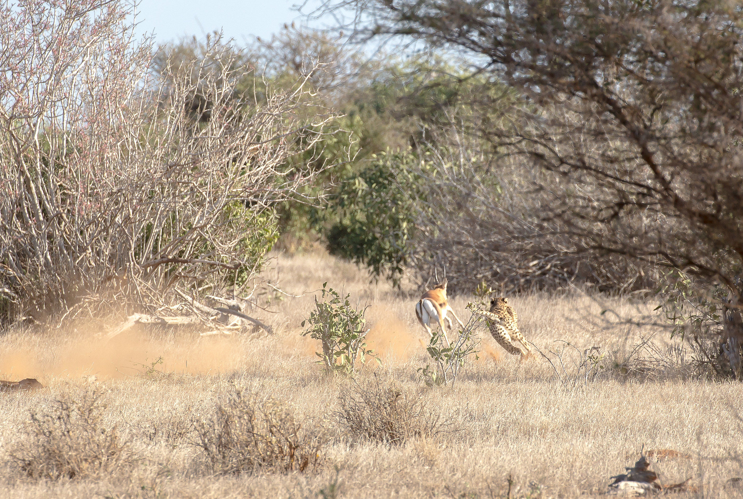 ... If you look ... !!!