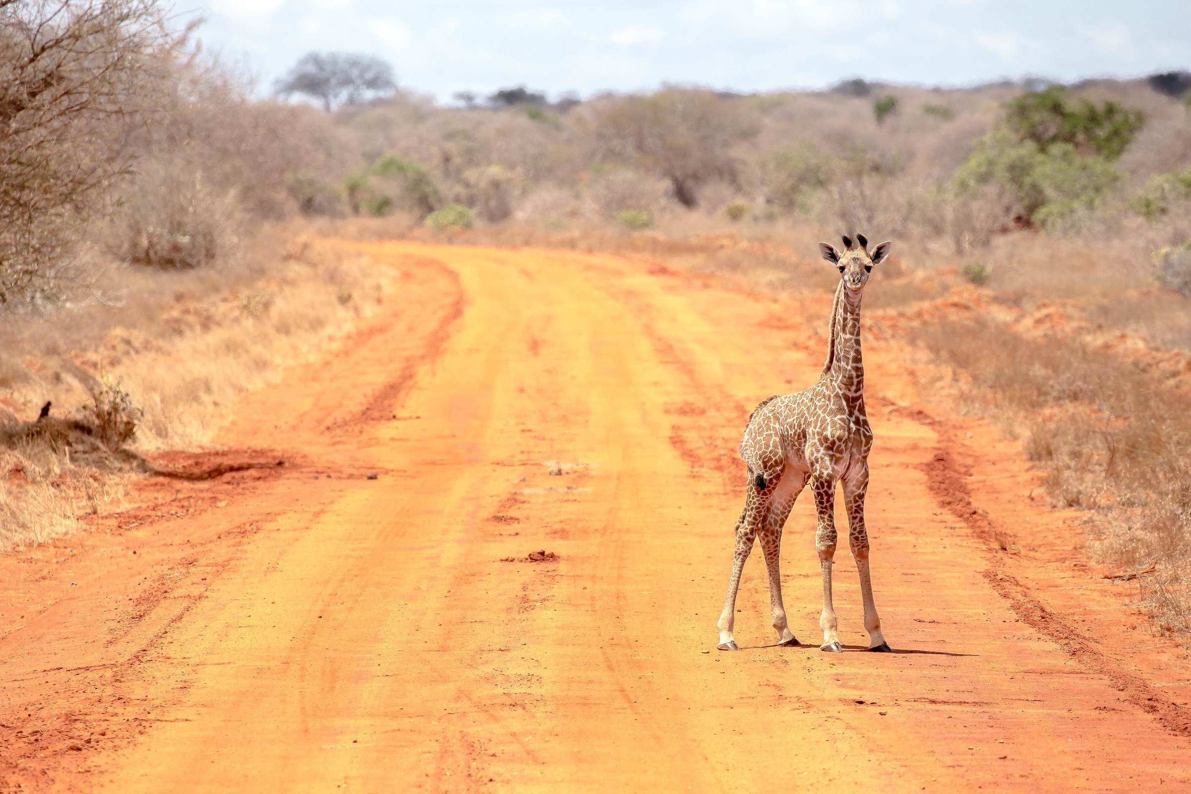 ...what do you want from me...?!?