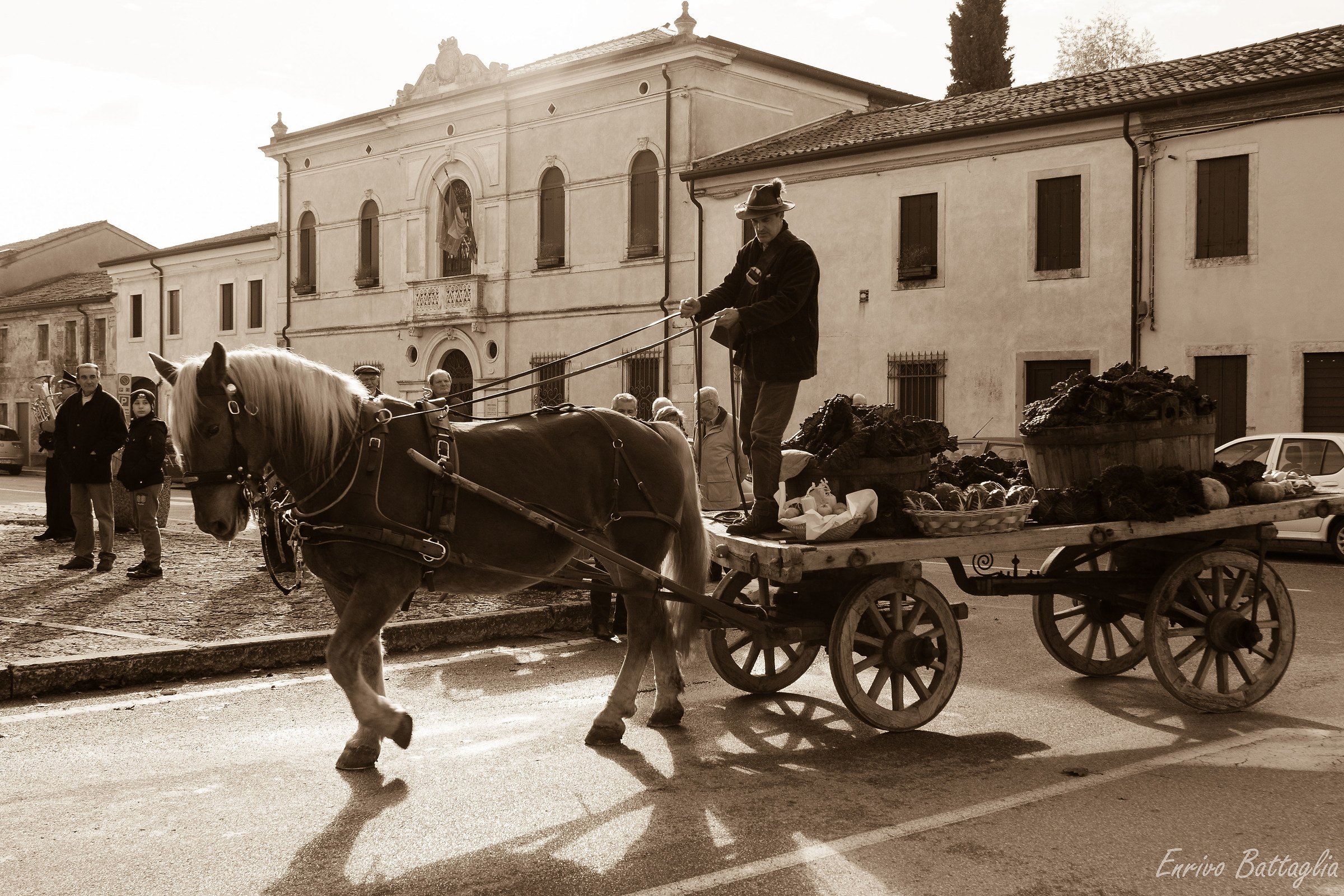 festa della verza moretta