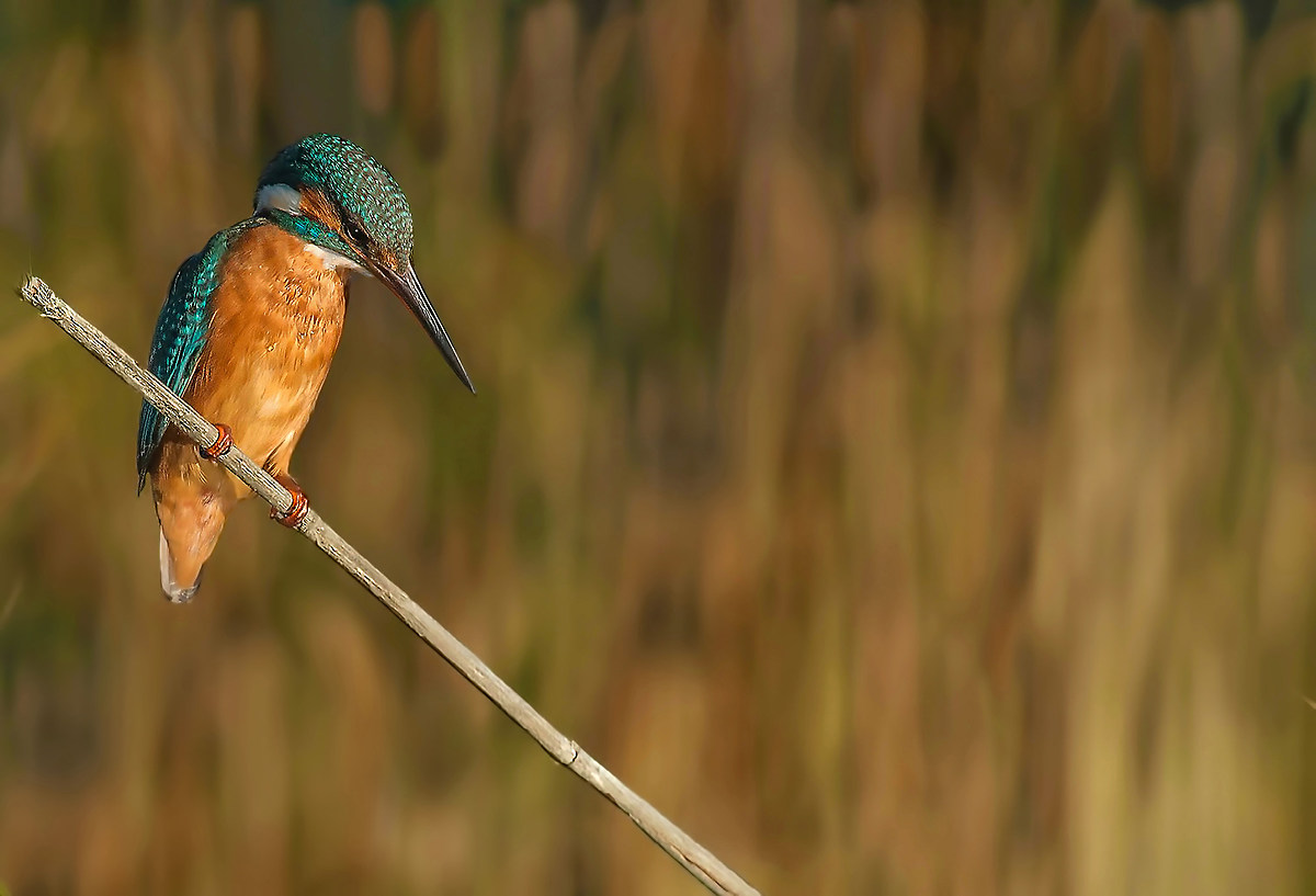 sfondo... con martina! :)