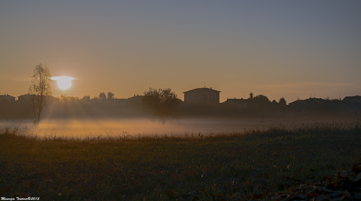 Paesaggio nella nebbia