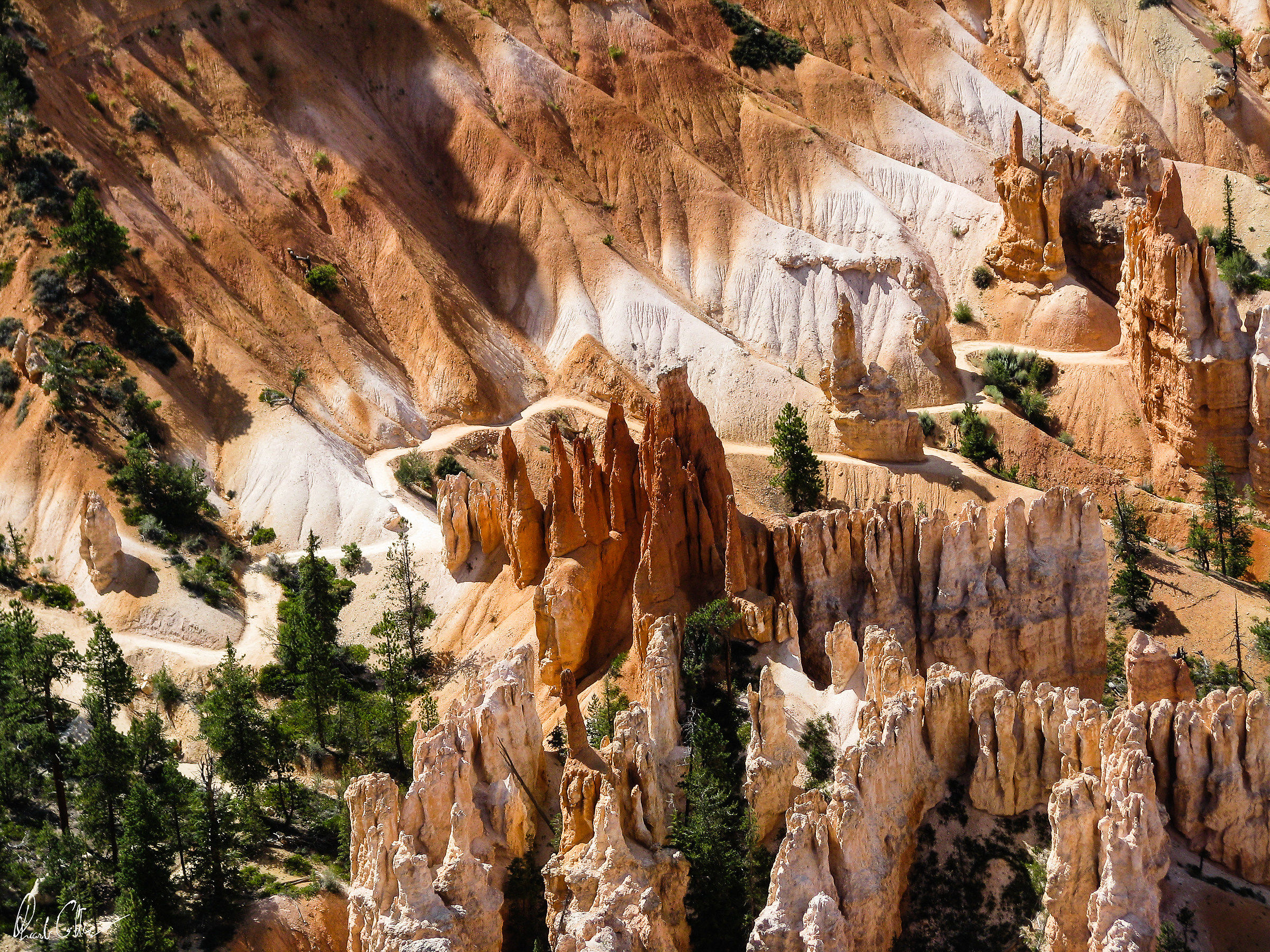 Bryce Canyon